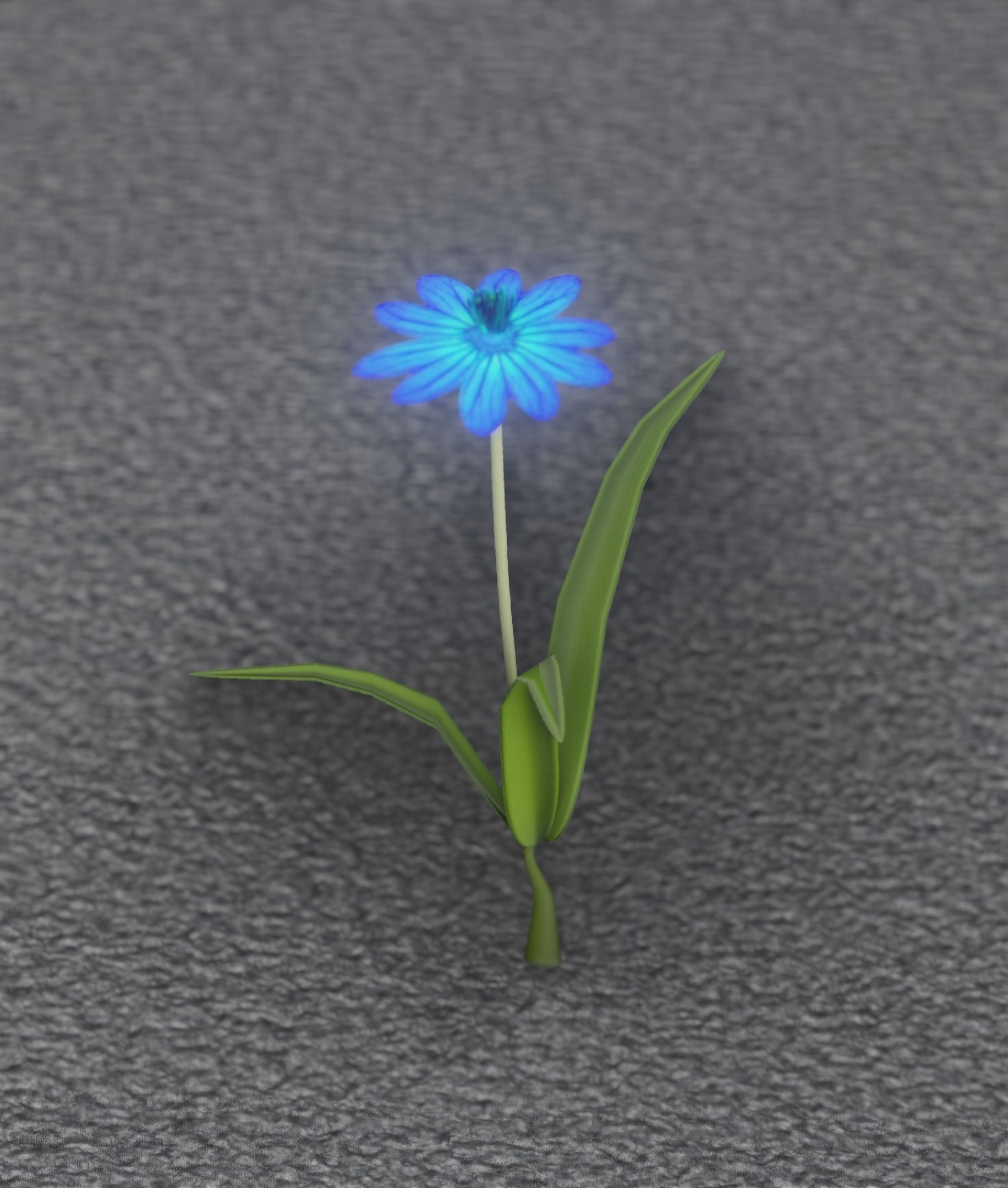 Blue Flower - Verion 4 - Object 19 Low-poly 3D model_33