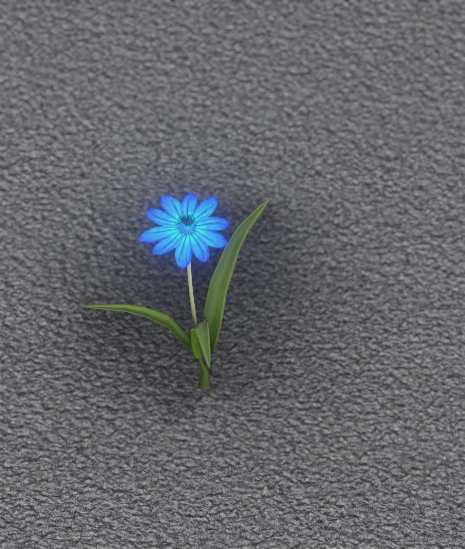 Blue Flower - Verion 4 - Object 19 Low-poly 3D model_3