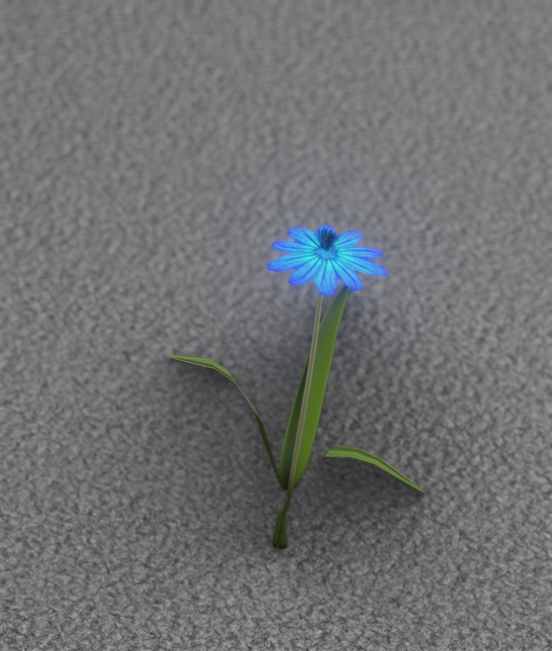 Blue Flower - Verion 4 - Object 19 Low-poly 3D model_30