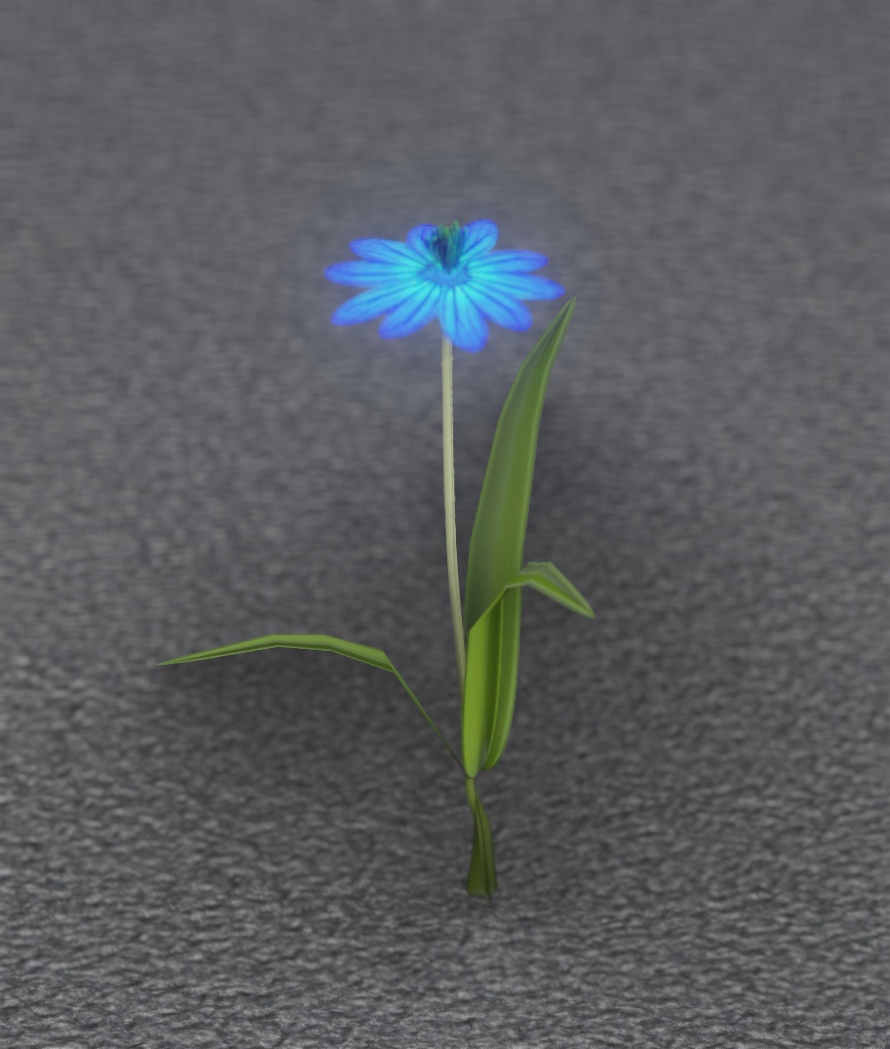 Blue Flower - Verion 4 - Object 19 Low-poly 3D model_50