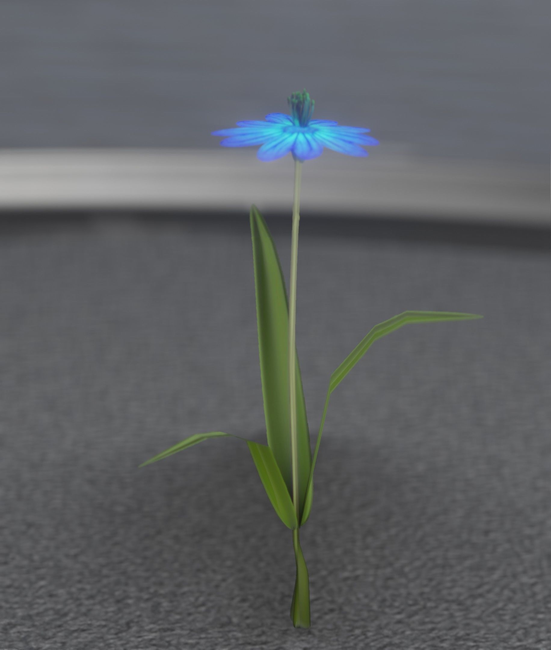 Blue Flower - Verion 4 - Object 19 Low-poly 3D model_48