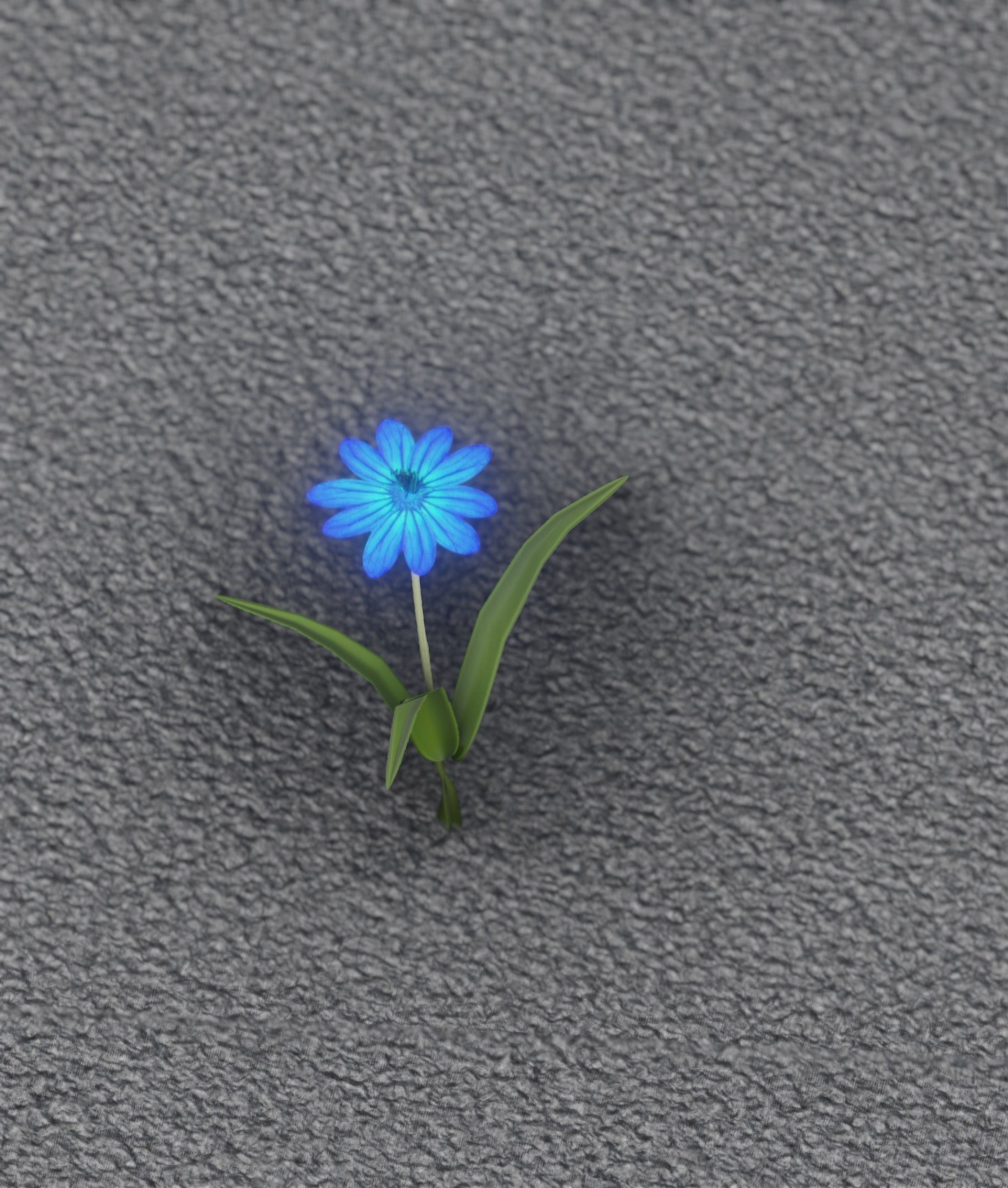 Blue Flower - Verion 4 - Object 19 Low-poly 3D model_5