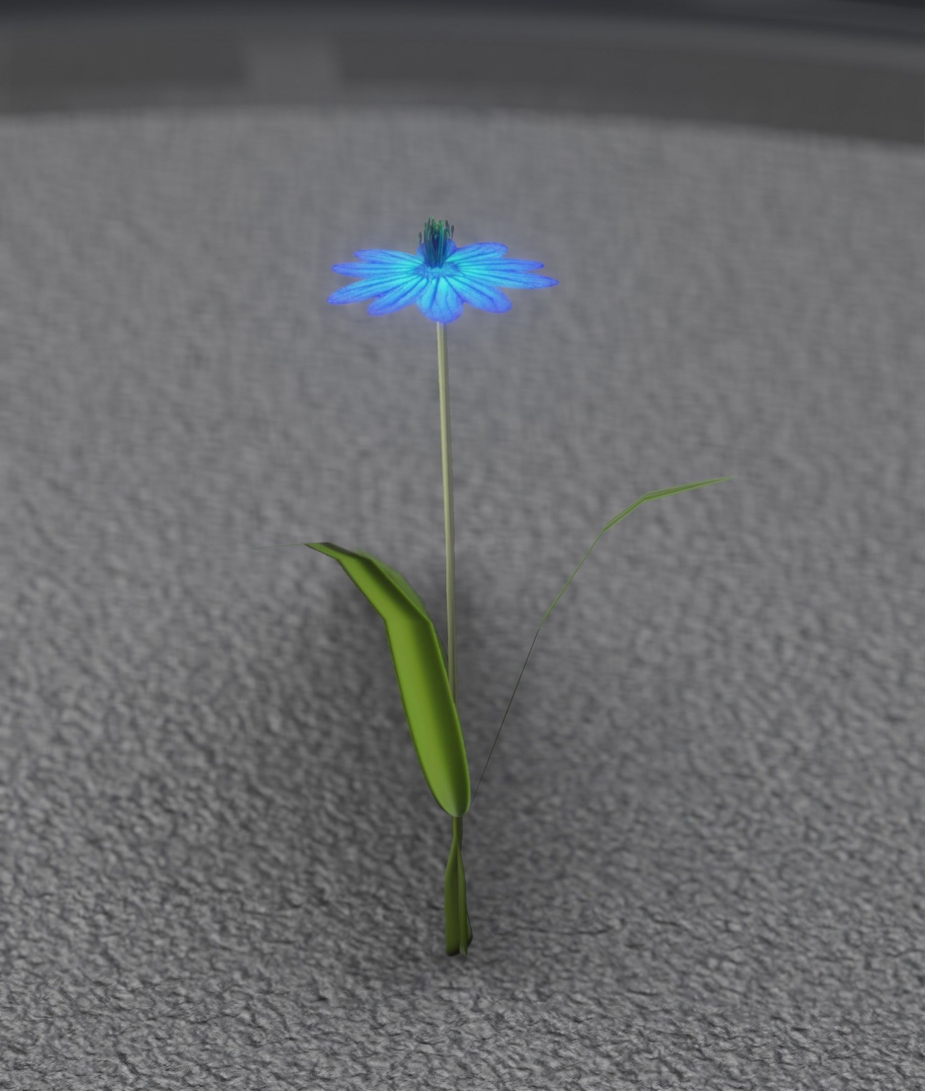 Blue Flower - Verion 4 - Object 19 Low-poly 3D model_38