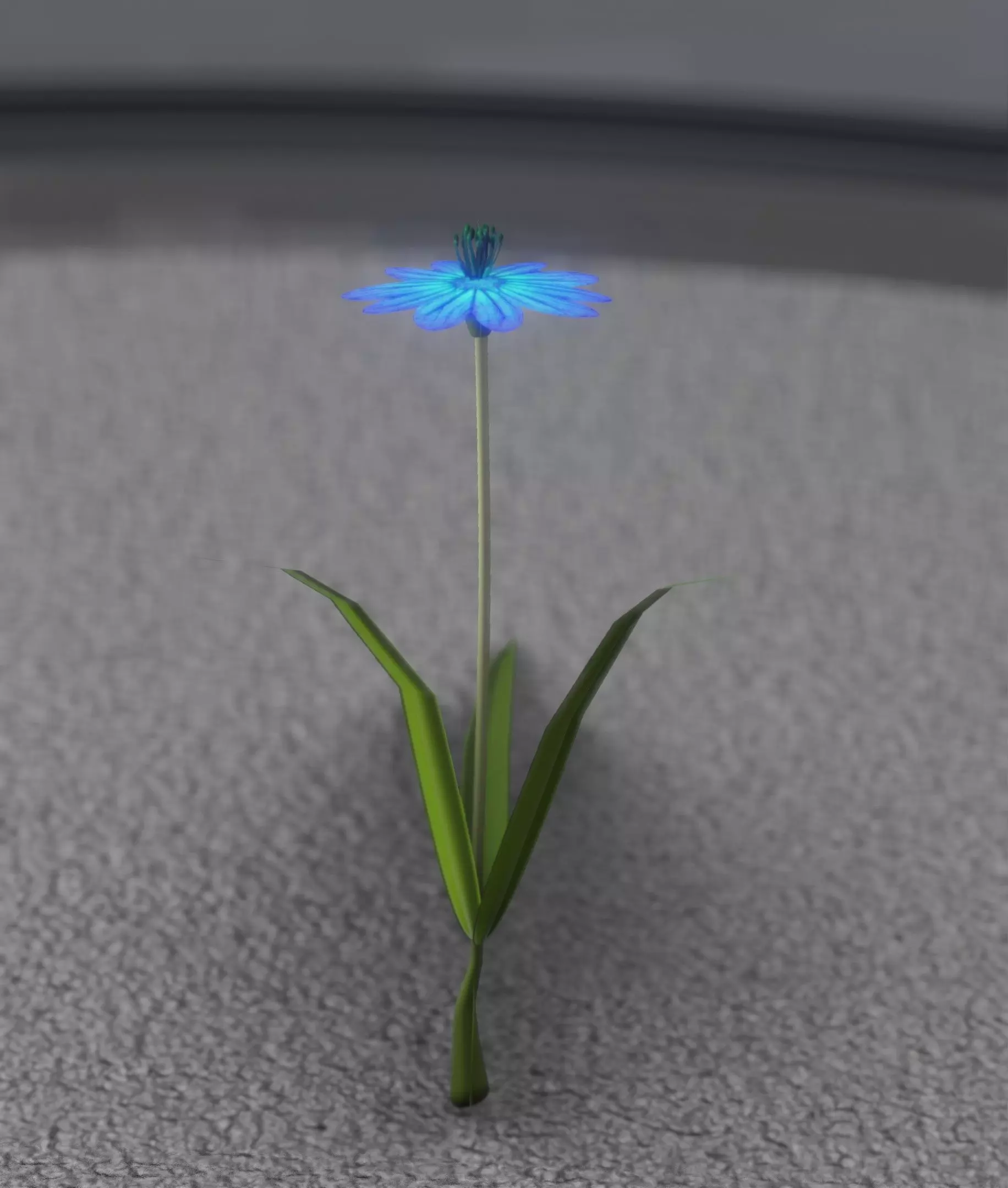 Blue Flower - Verion 4 - Object 19 Low-poly 3D model_0