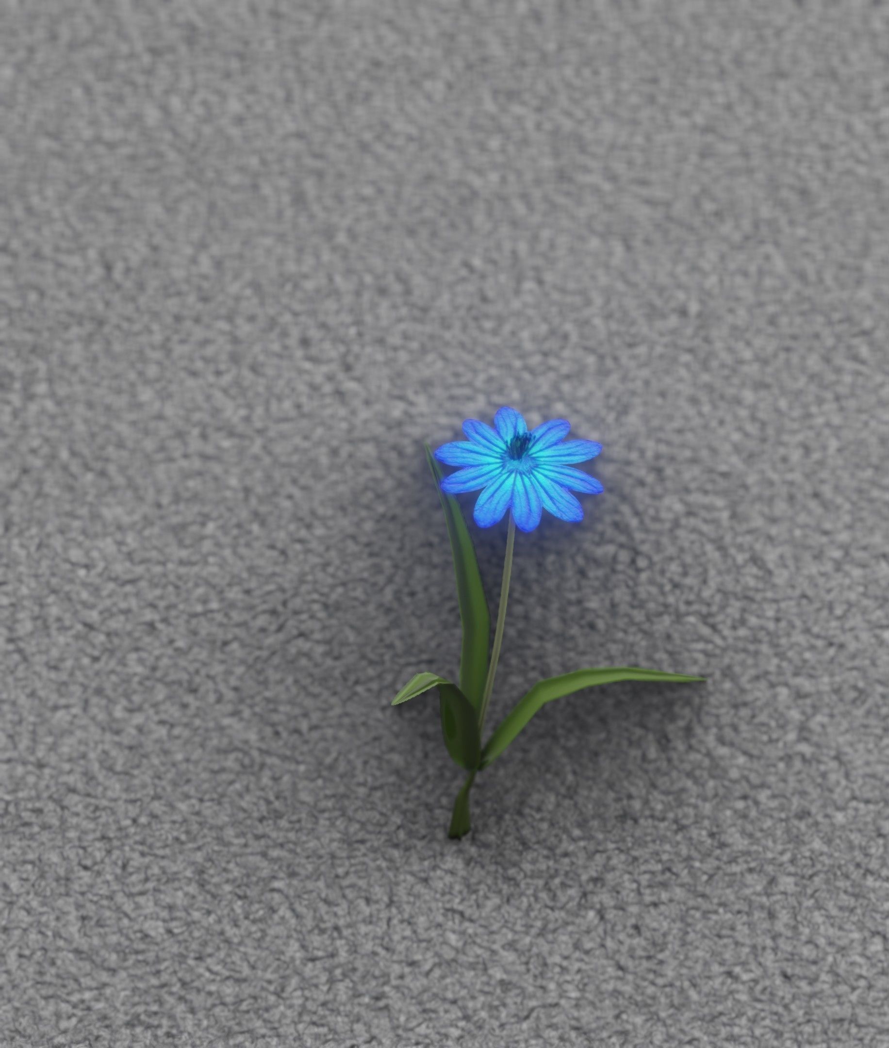 Blue Flower - Verion 4 - Object 19 Low-poly 3D model_13