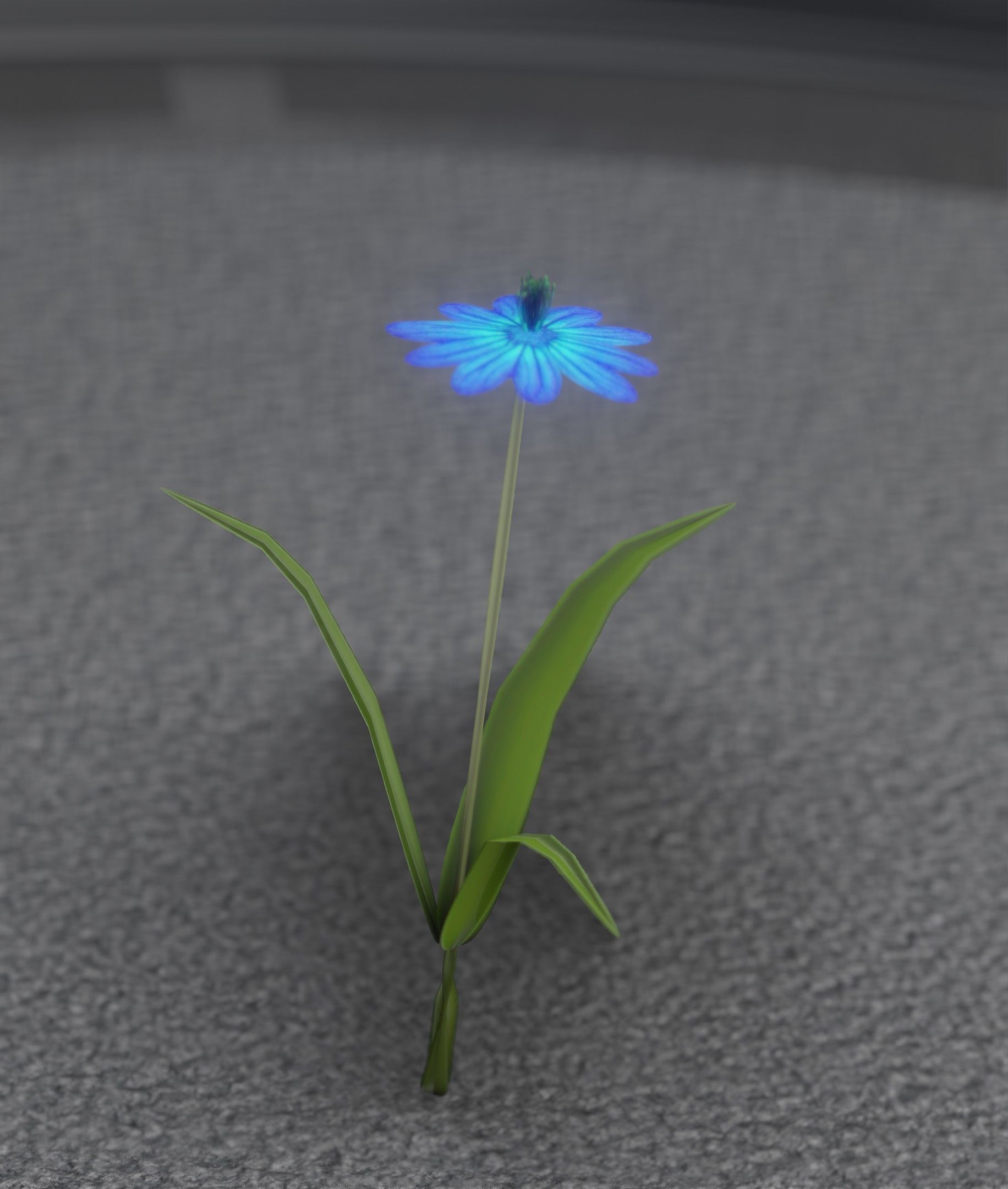 Blue Flower - Verion 4 - Object 19 Low-poly 3D model_16