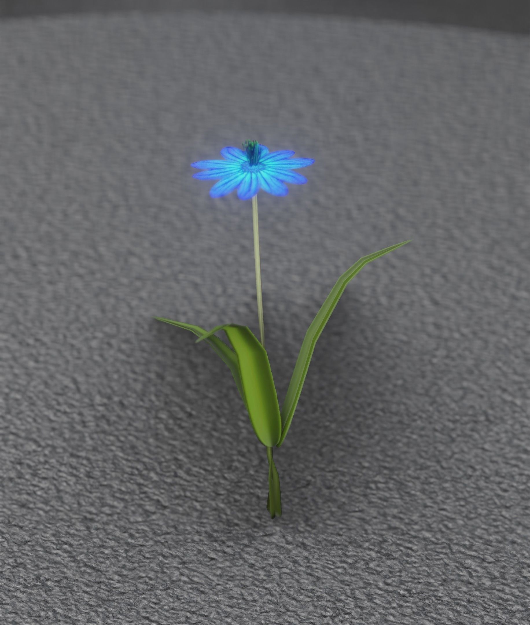 Blue Flower - Verion 4 - Object 19 Low-poly 3D model_37
