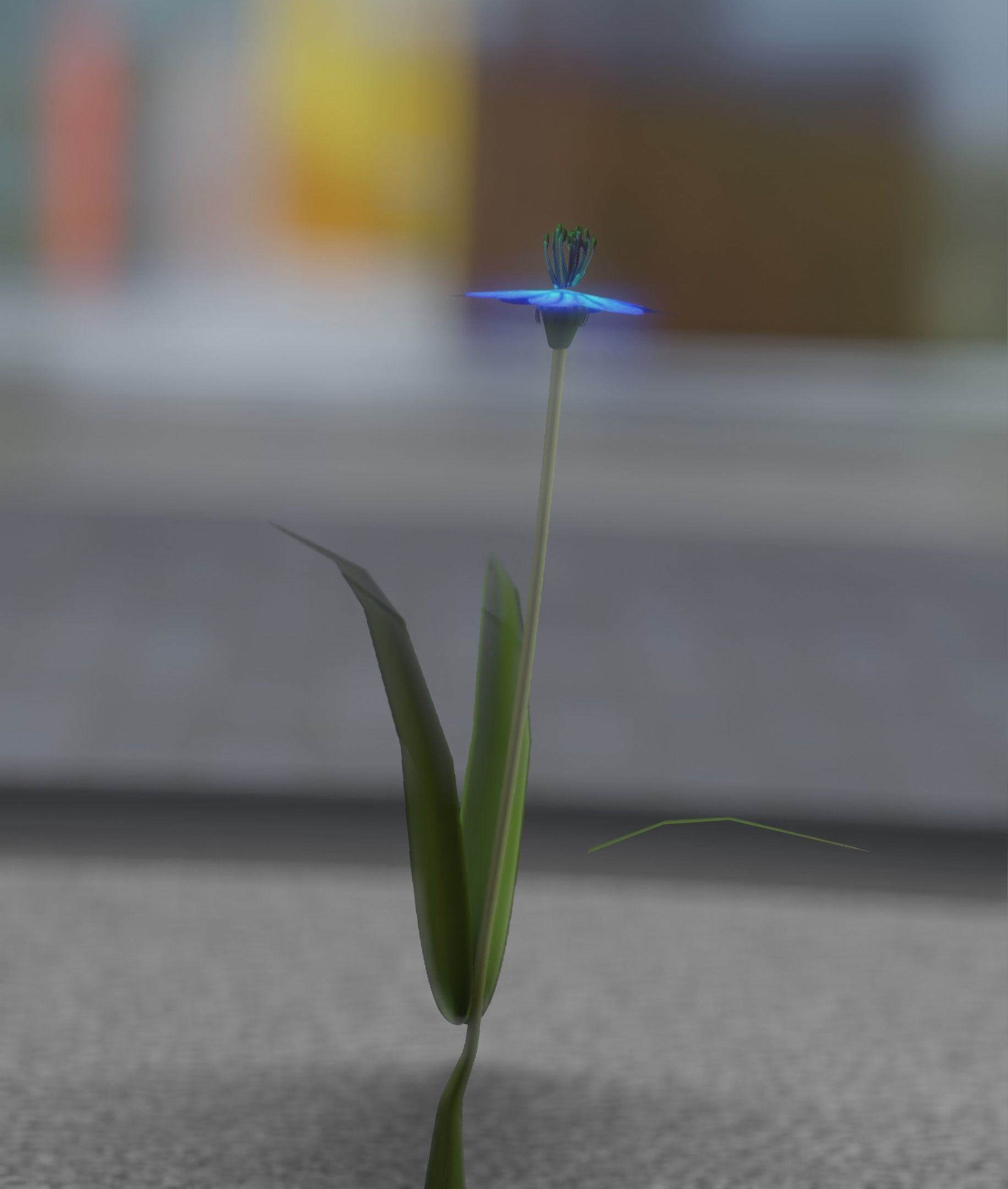 Blue Flower - Verion 4 - Object 19 Low-poly 3D model_42