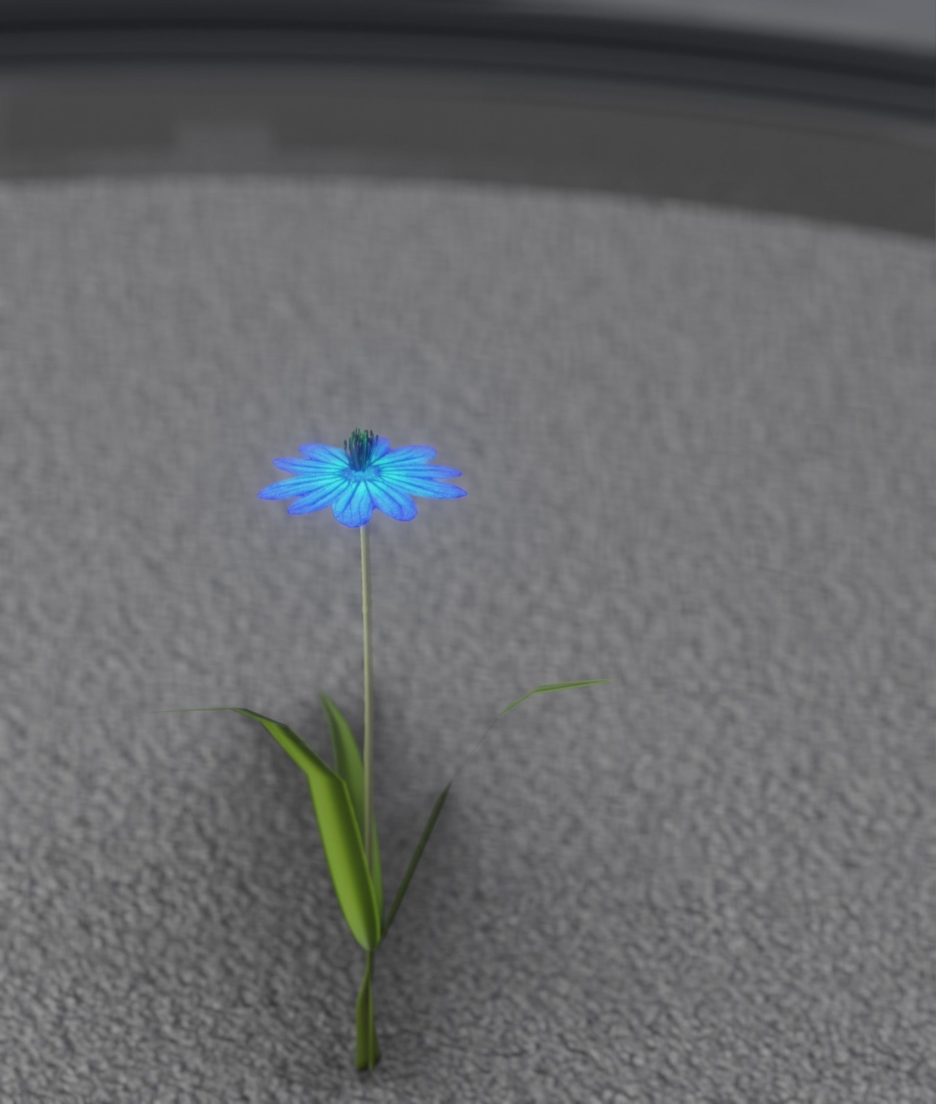 Blue Flower - Verion 4 - Object 19 Low-poly 3D model_25