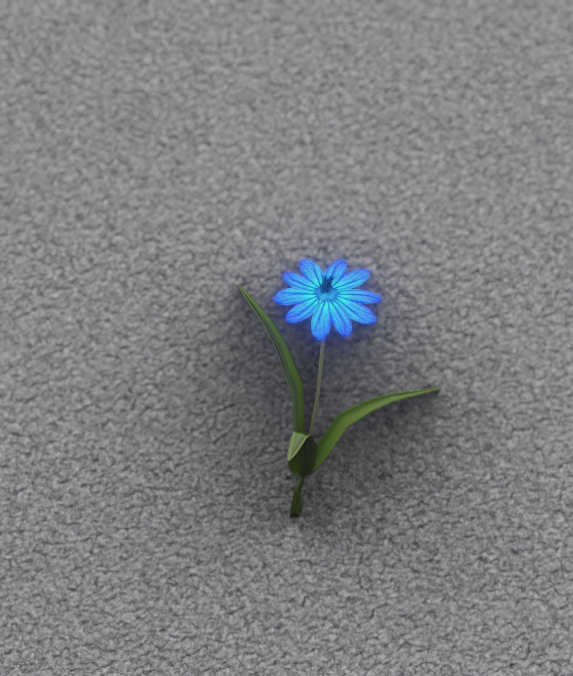 Blue Flower - Verion 4 - Object 19 Low-poly 3D model_12