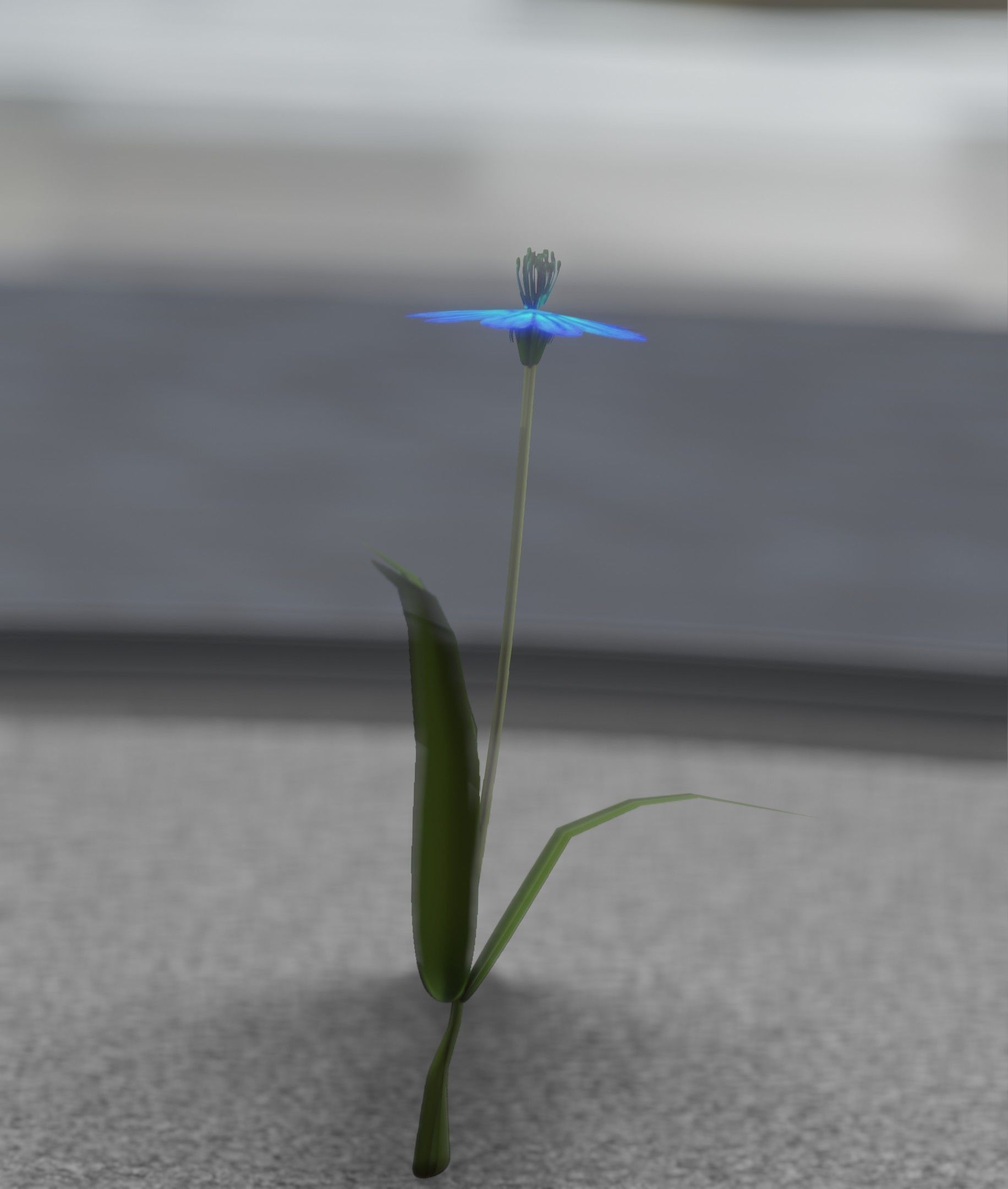Blue Flower - Verion 4 - Object 19 Low-poly 3D model_41