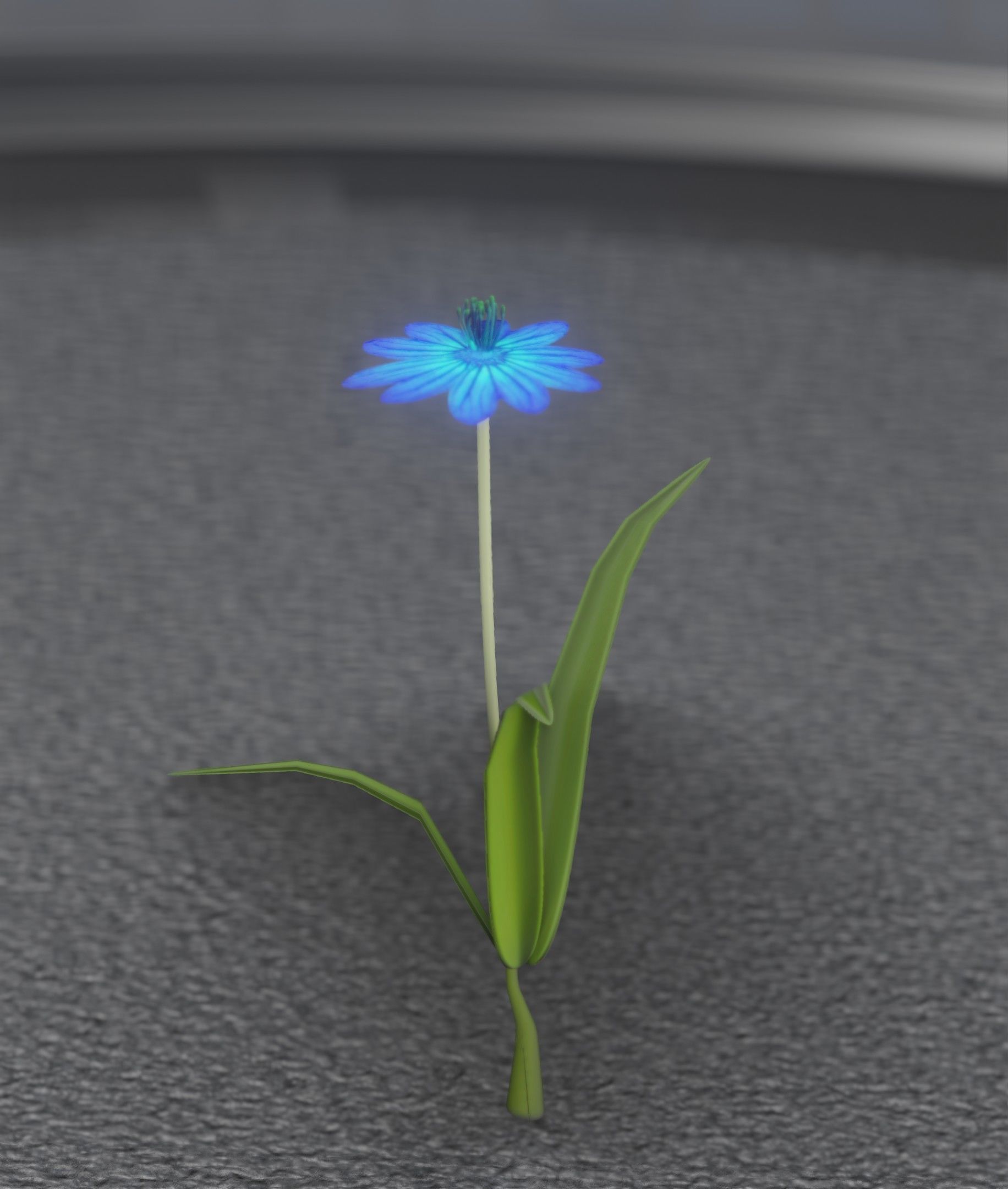 Blue Flower - Verion 4 - Object 19 Low-poly 3D model_22