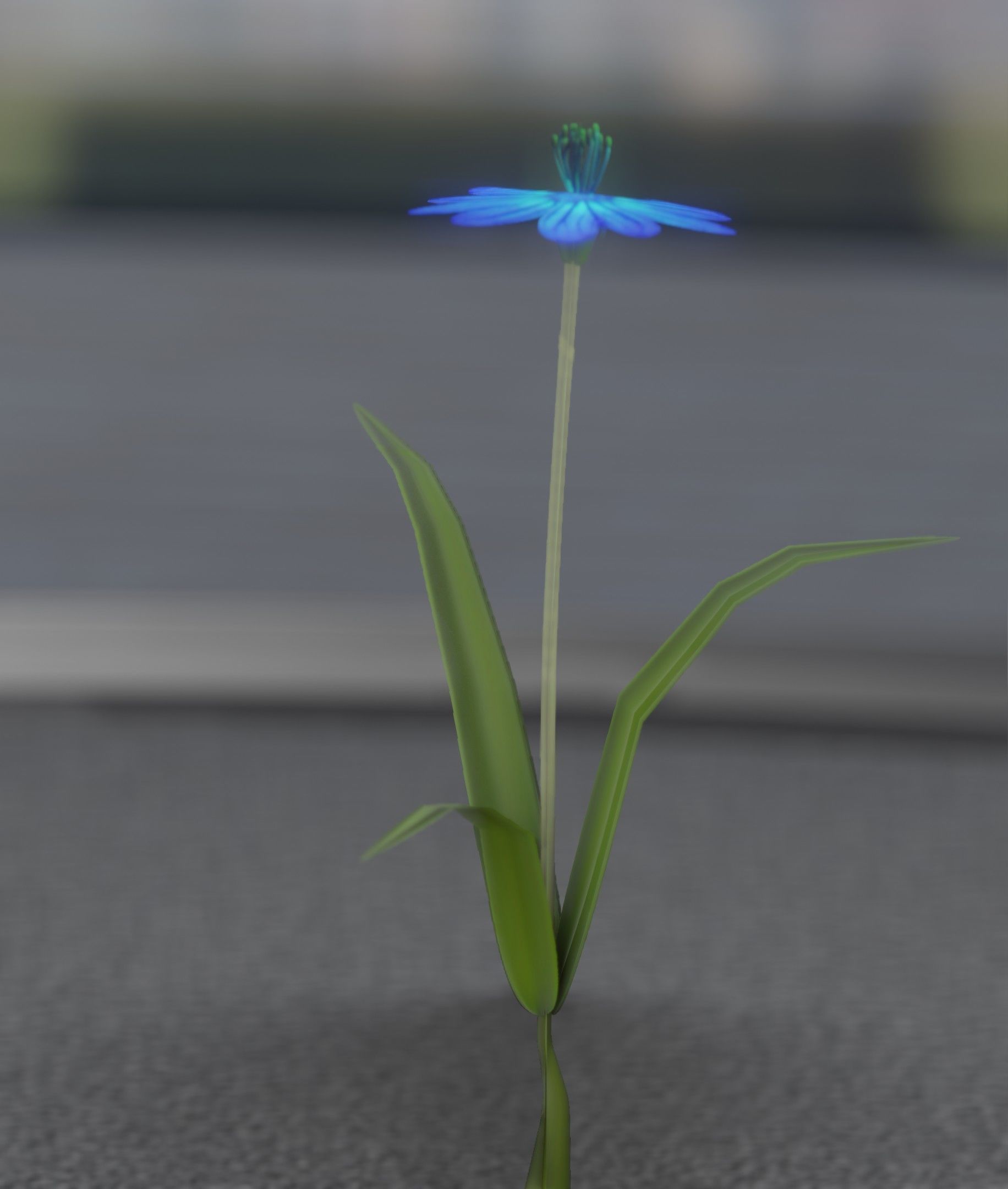 Blue Flower - Verion 4 - Object 19 Low-poly 3D model_47