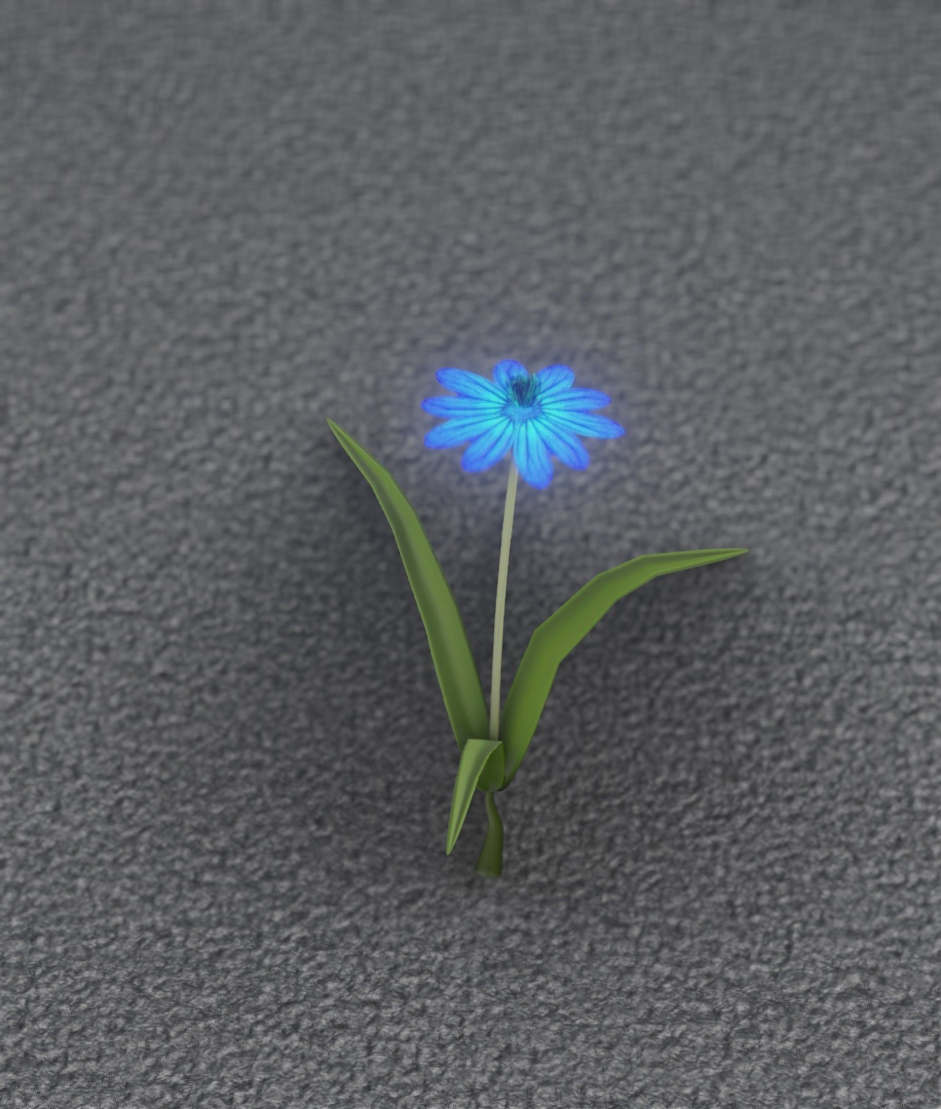 Blue Flower - Verion 4 - Object 19 Low-poly 3D model_32