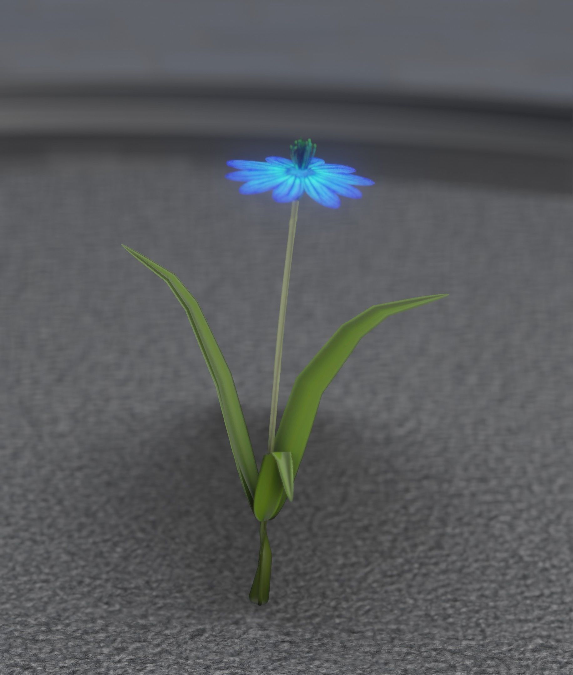 Blue Flower - Verion 4 - Object 19 Low-poly 3D model_17