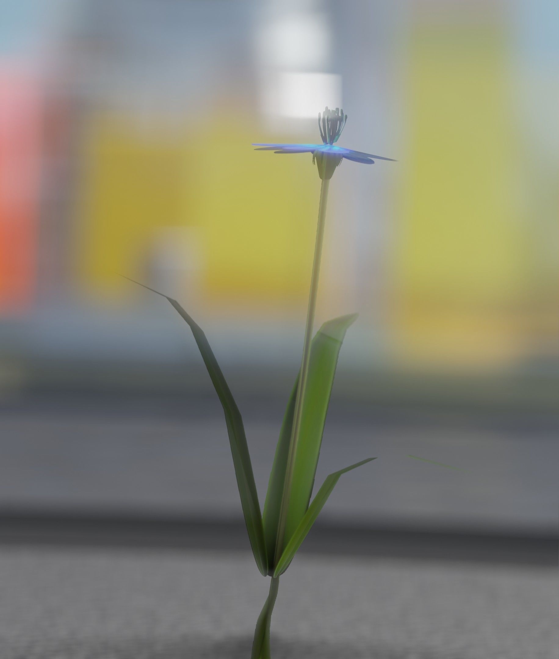 Blue Flower - Verion 4 - Object 19 Low-poly 3D model_43