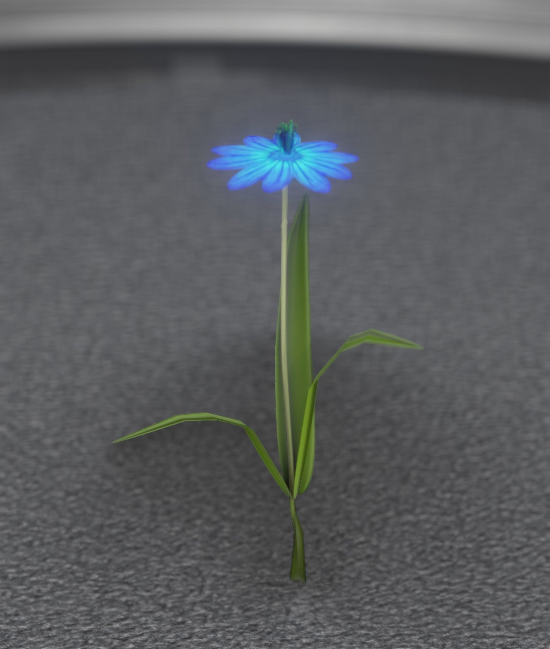 Blue Flower - Verion 4 - Object 19 Low-poly 3D model_49