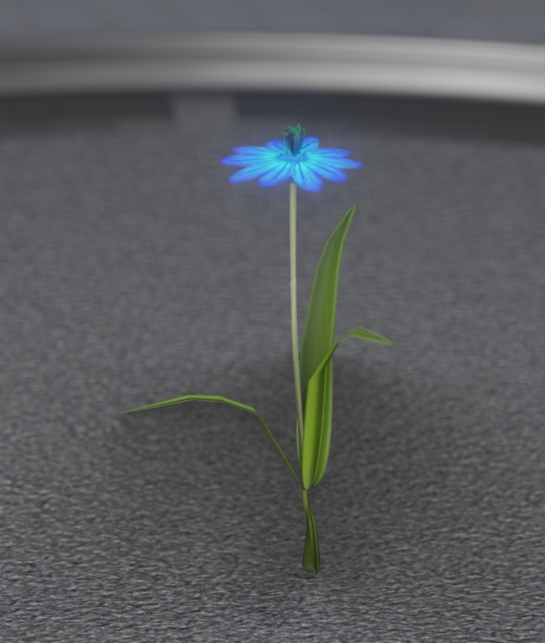 Blue Flower - Verion 4 - Object 19 Low-poly 3D model_21