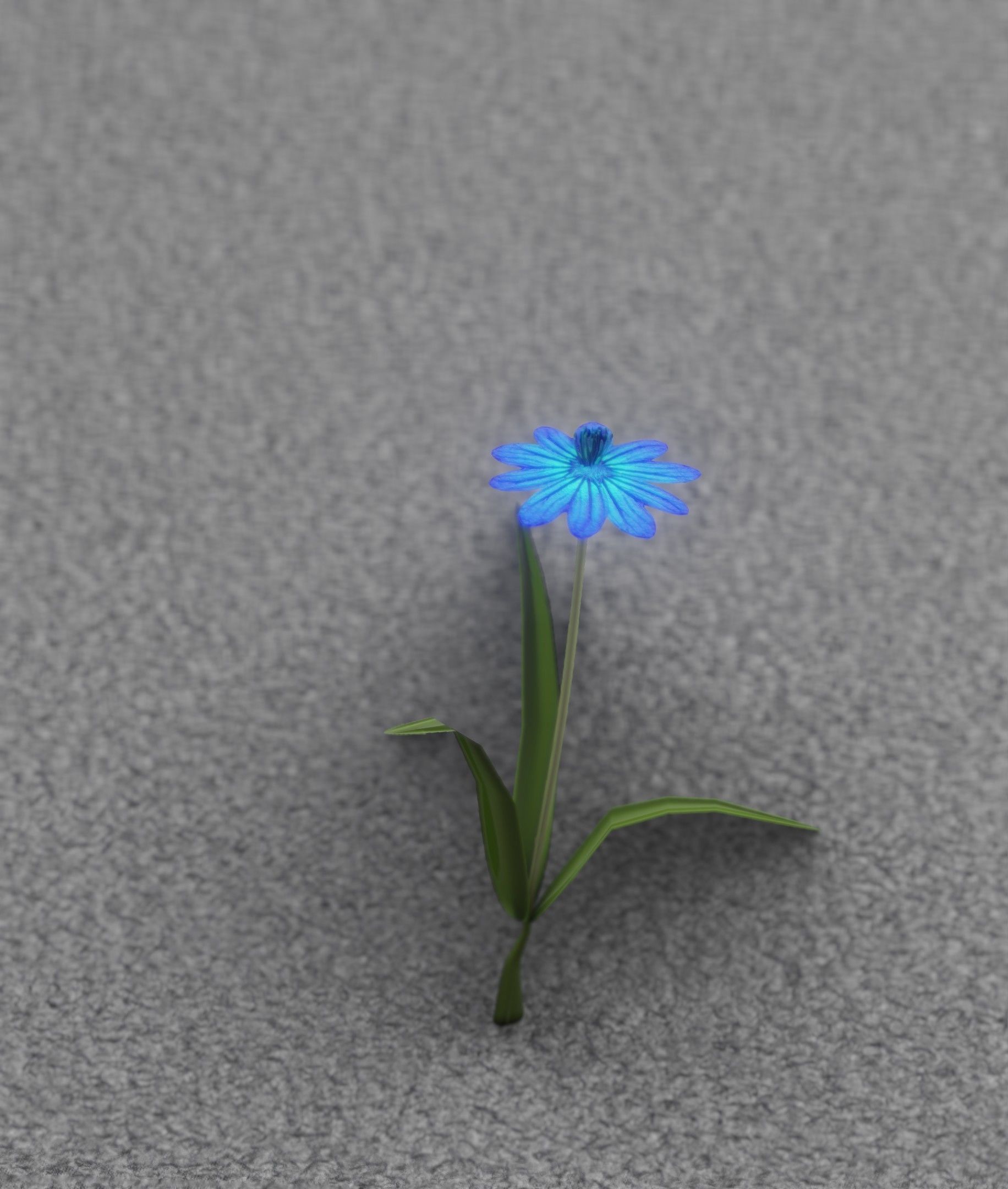 Blue Flower - Verion 4 - Object 19 Low-poly 3D model_29