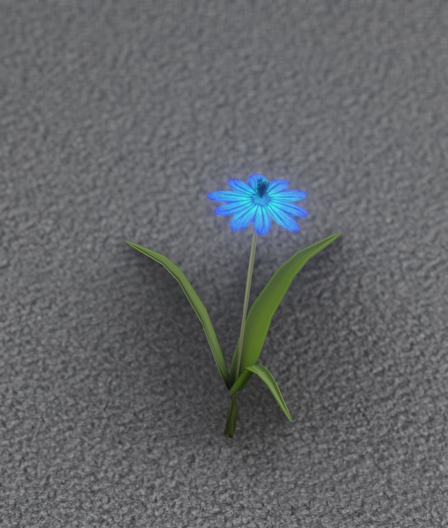 Blue Flower - Verion 4 - Object 19 Low-poly 3D model_31