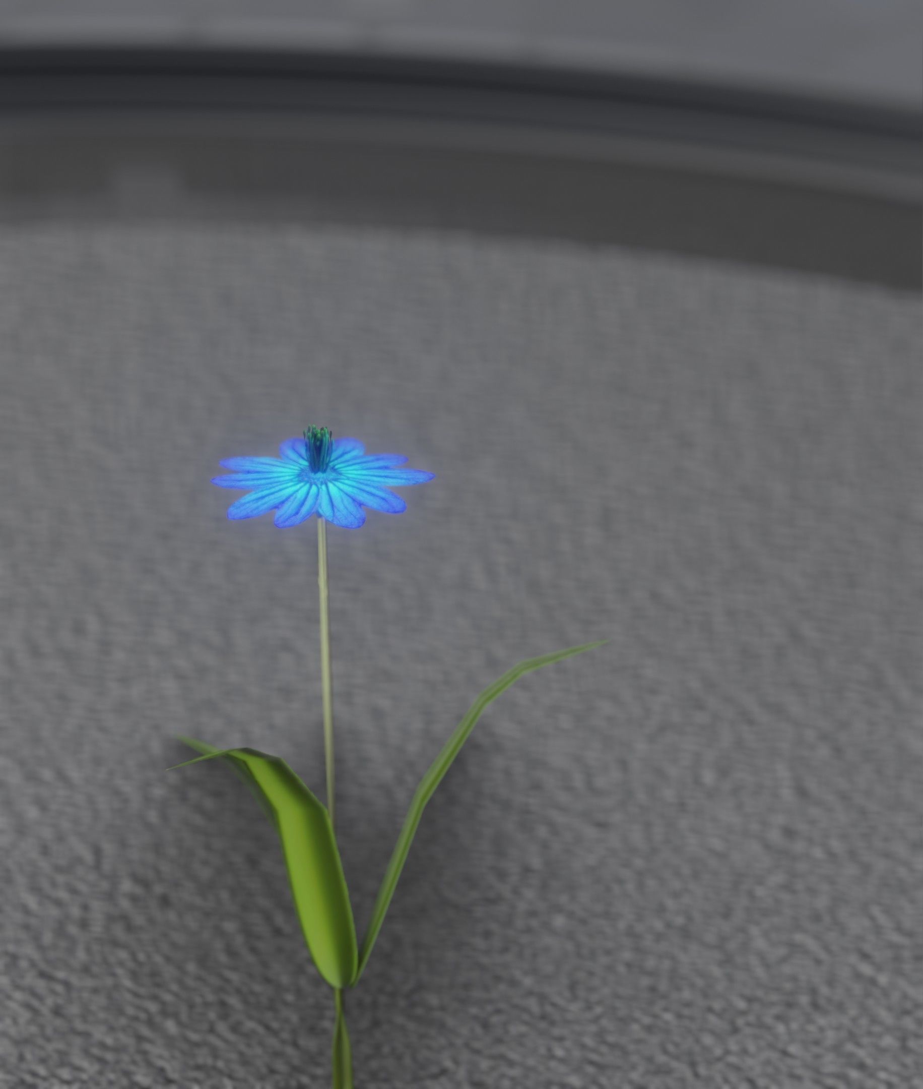 Blue Flower - Verion 4 - Object 19 Low-poly 3D model_24