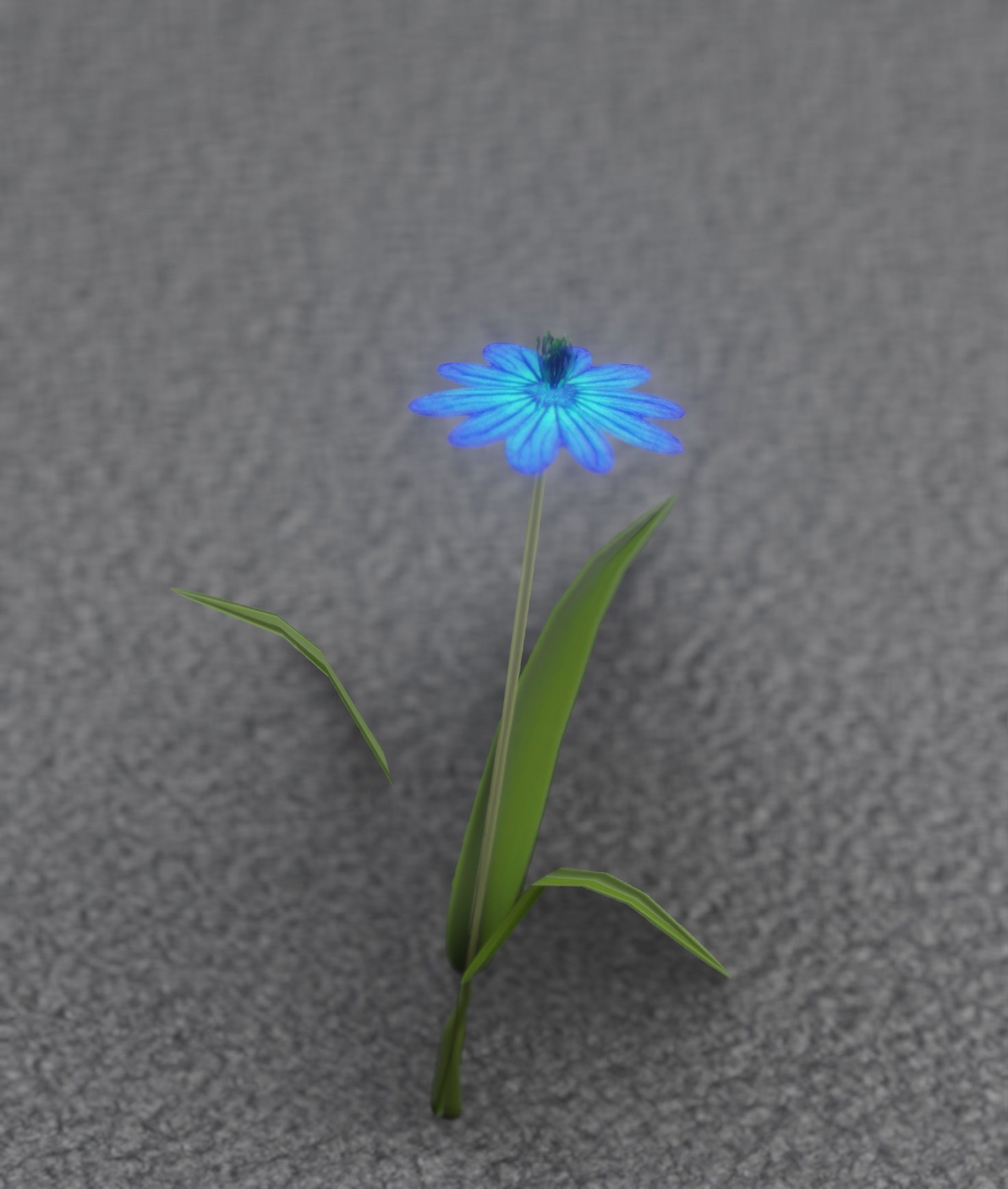 Blue Flower - Verion 4 - Object 19 Low-poly 3D model_15
