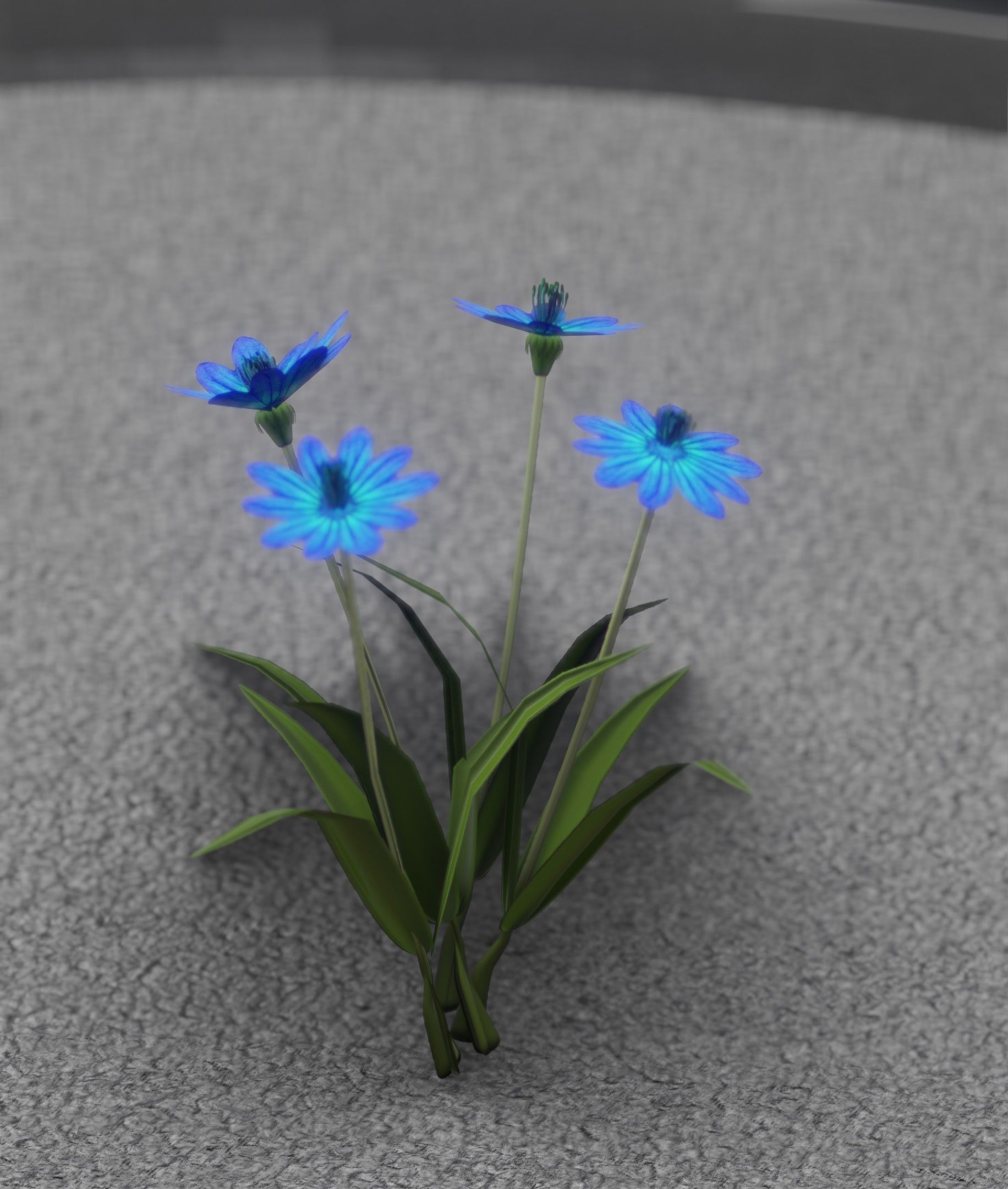 Blue Flowers - Verion 5 - Object 20 Low-poly 3D model_38
