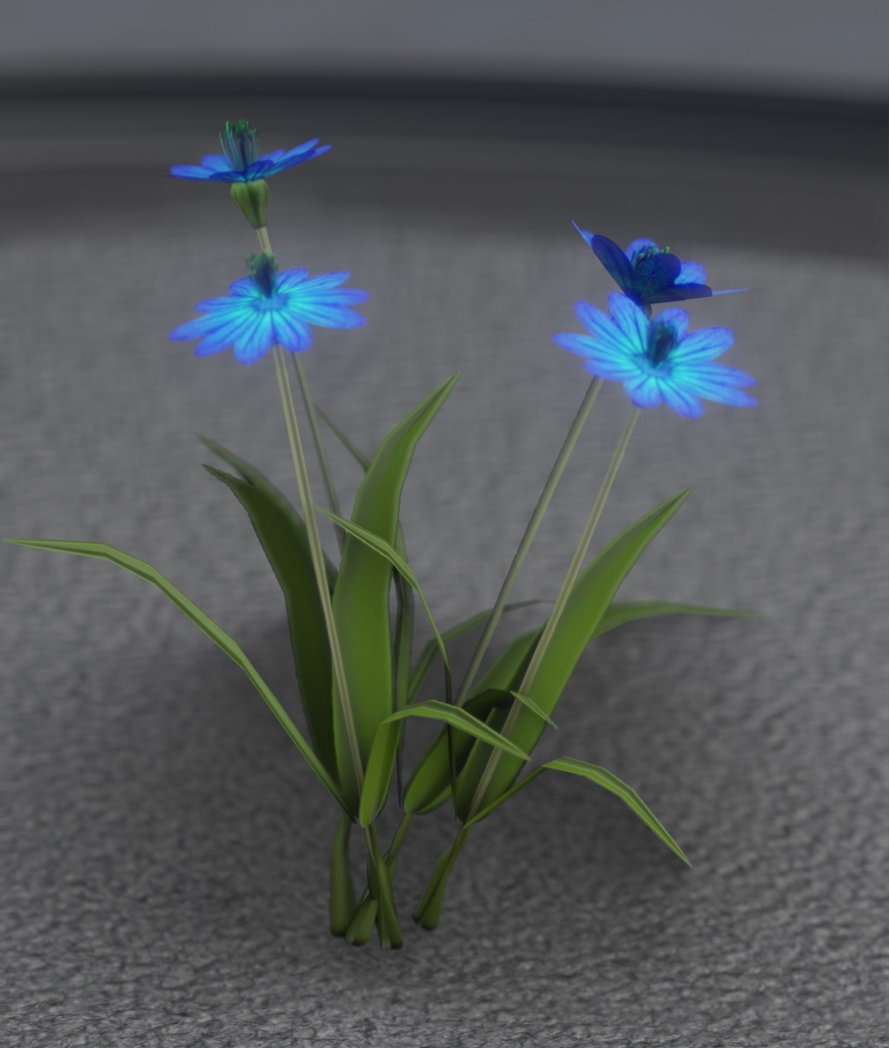 Blue Flowers - Verion 5 - Object 20 Low-poly 3D model_43