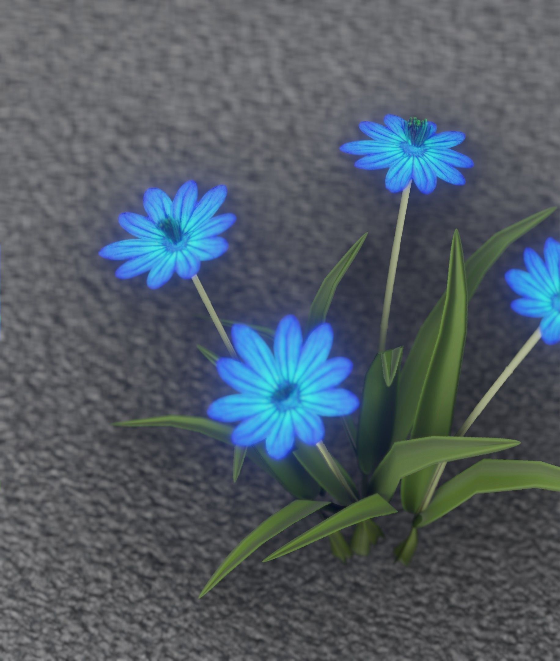 Blue Flowers - Verion 5 - Object 20 Low-poly 3D model_50