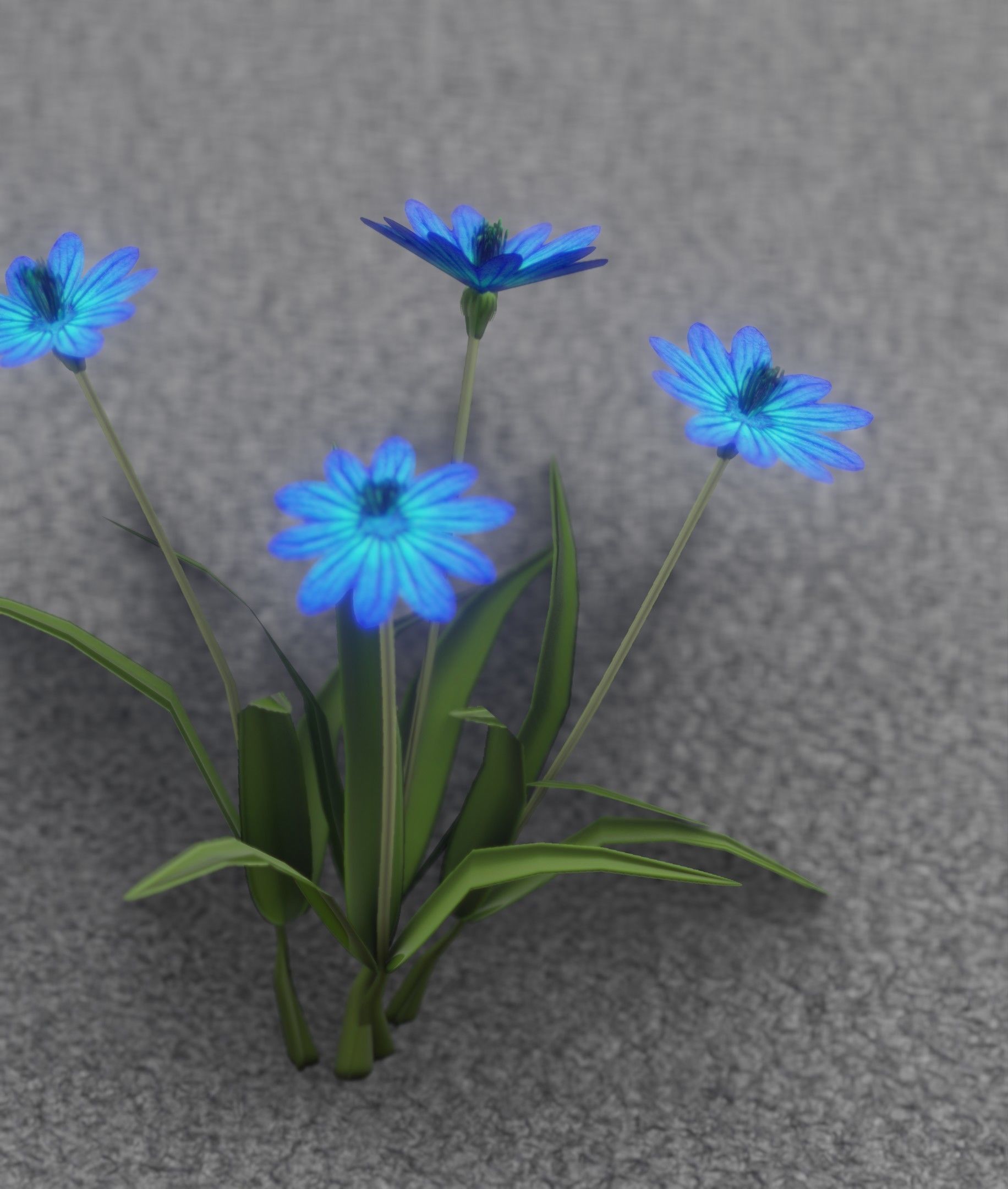 Blue Flowers - Verion 5 - Object 20 Low-poly 3D model_4
