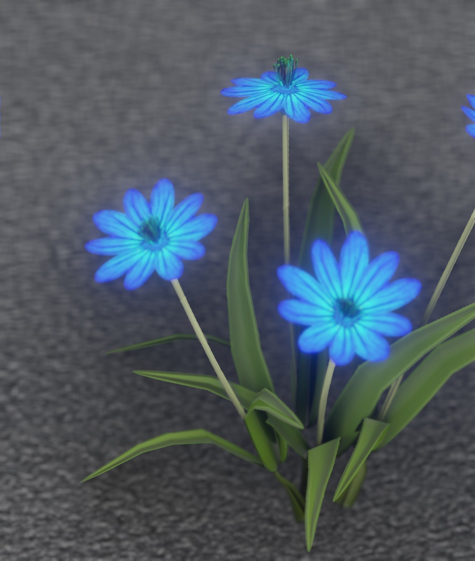 Blue Flowers - Verion 5 - Object 20 Low-poly 3D model_48