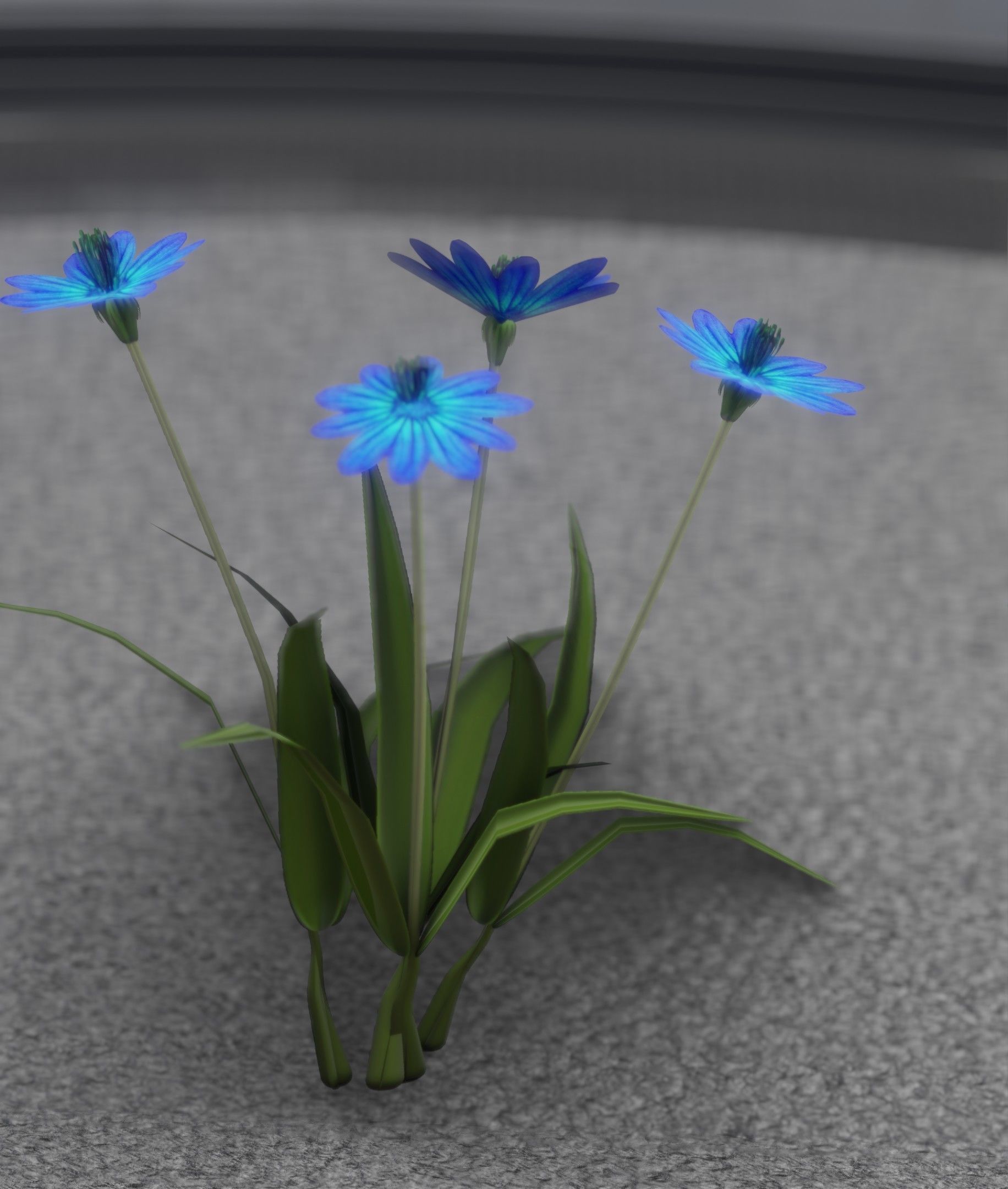 Blue Flowers - Verion 5 - Object 20 Low-poly 3D model_41