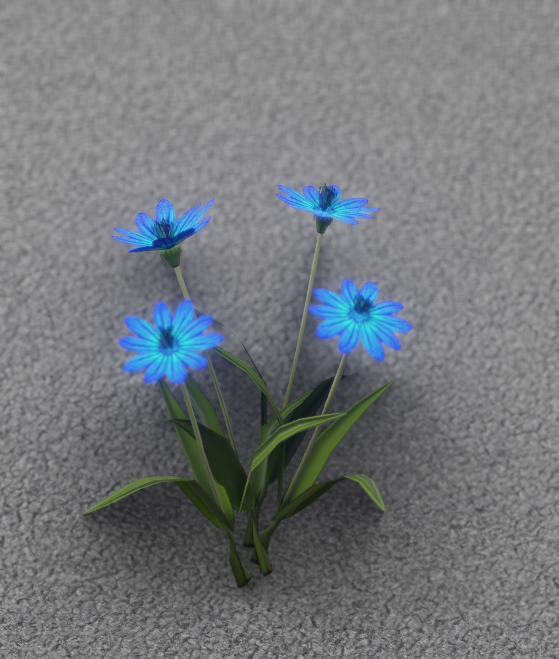 Blue Flowers - Verion 5 - Object 20 Low-poly 3D model_26