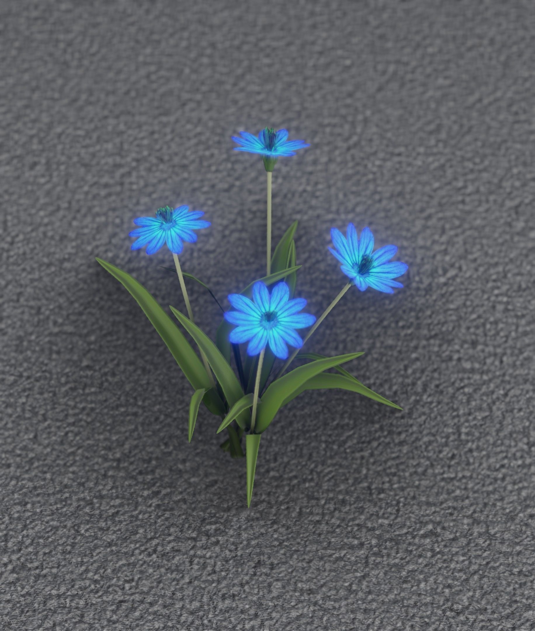 Blue Flowers - Verion 5 - Object 20 Low-poly 3D model_31