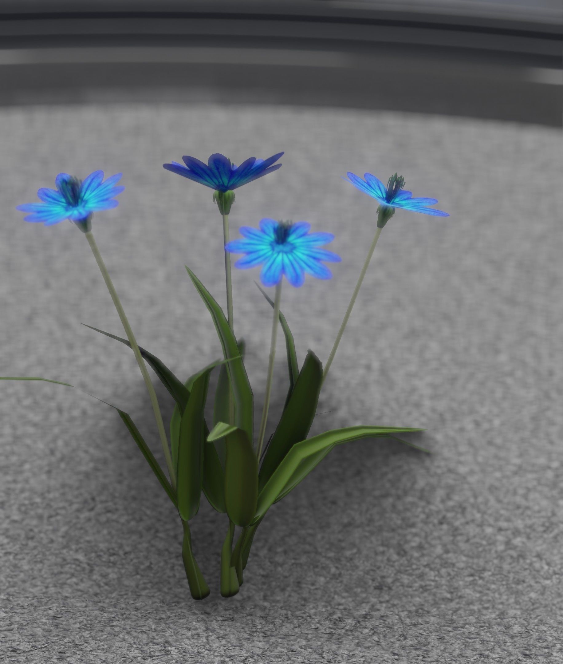 Blue Flowers - Verion 5 - Object 20 Low-poly 3D model_40