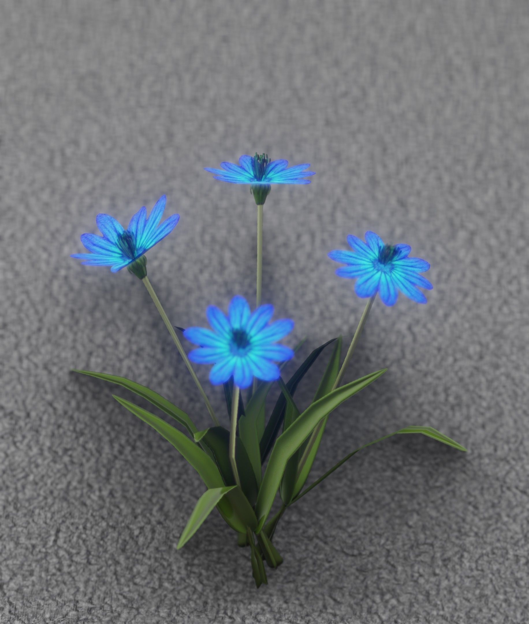 Blue Flowers - Verion 5 - Object 20 Low-poly 3D model_25