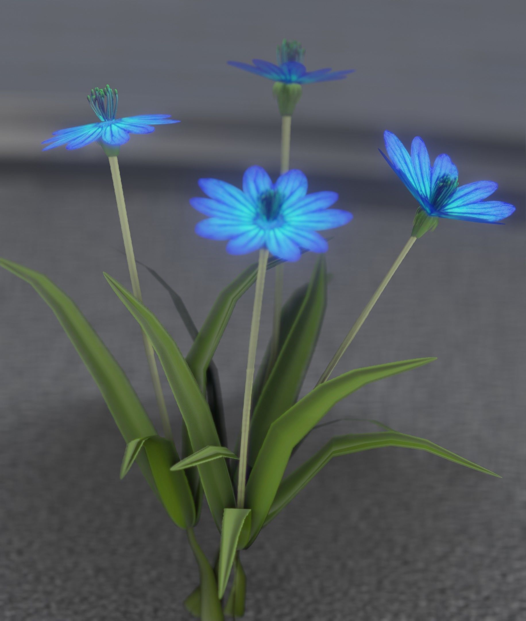 Blue Flowers - Verion 5 - Object 20 Low-poly 3D model_19