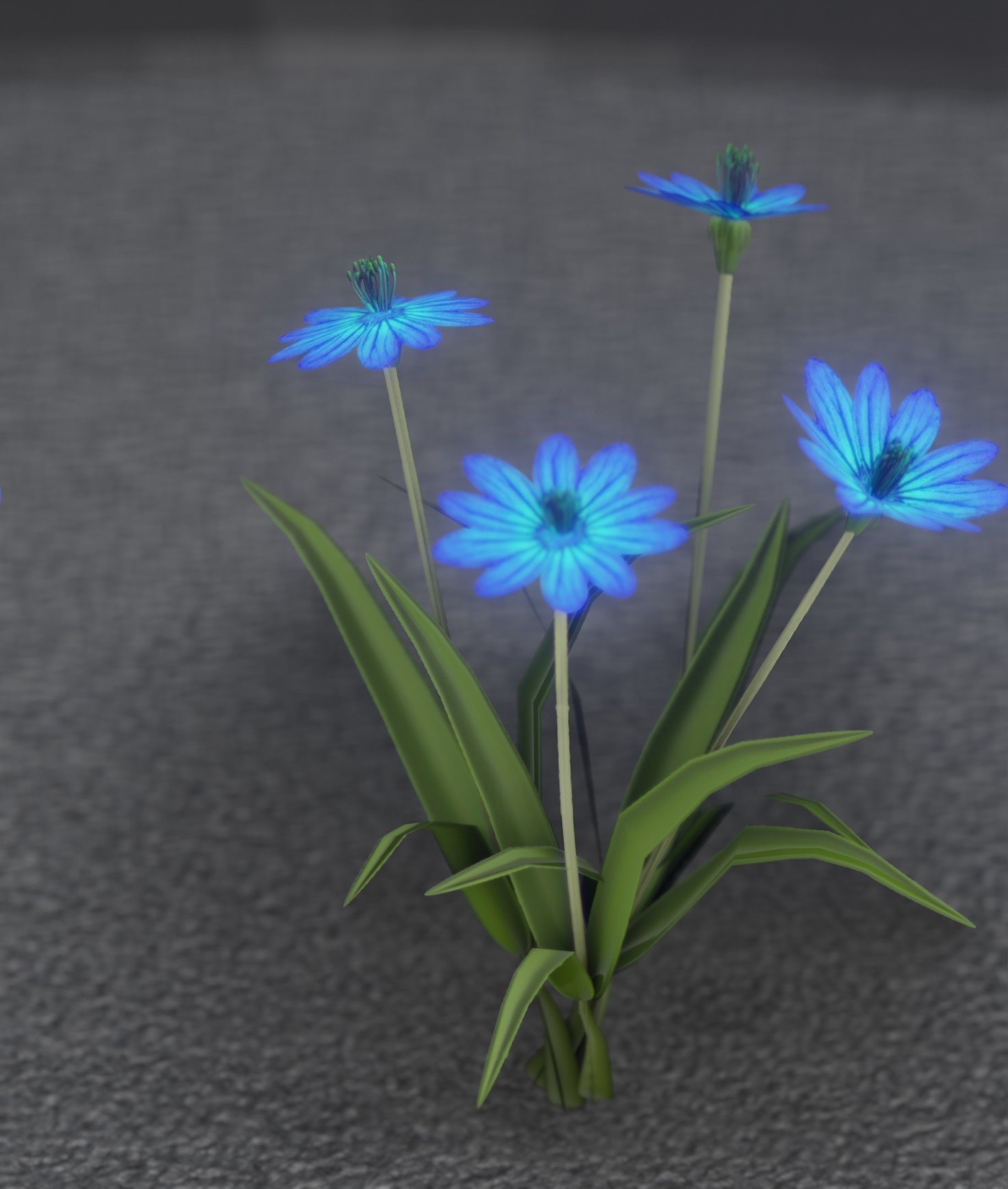 Blue Flowers - Verion 5 - Object 20 Low-poly 3D model_45