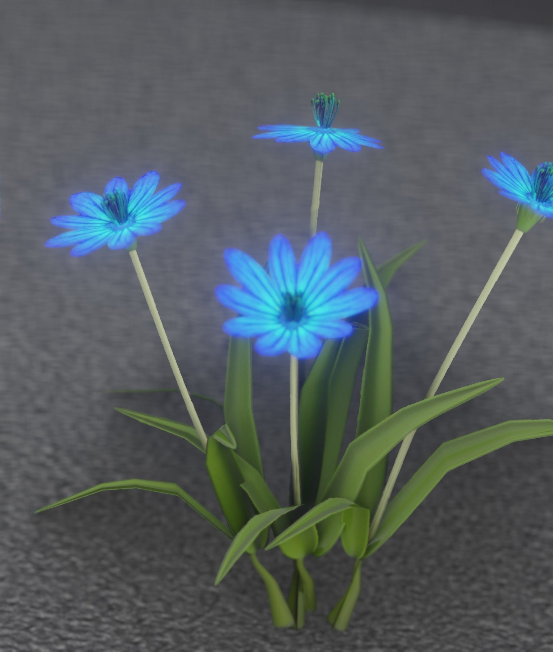 Blue Flowers - Verion 5 - Object 20 Low-poly 3D model_22
