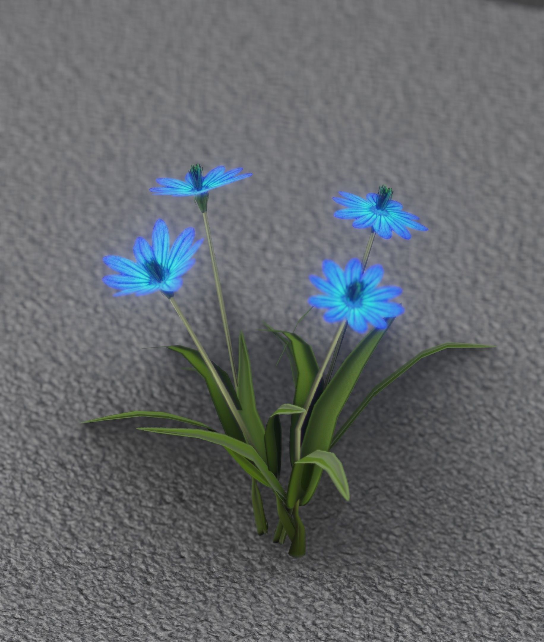 Blue Flowers - Verion 5 - Object 20 Low-poly 3D model_36