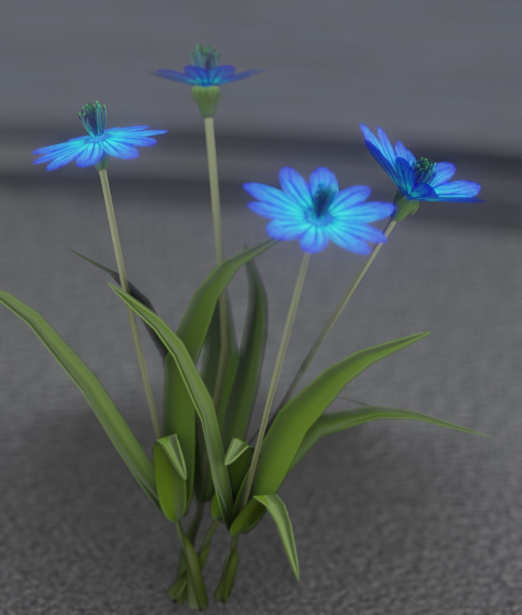 Blue Flowers - Verion 5 - Object 20 Low-poly 3D model_18
