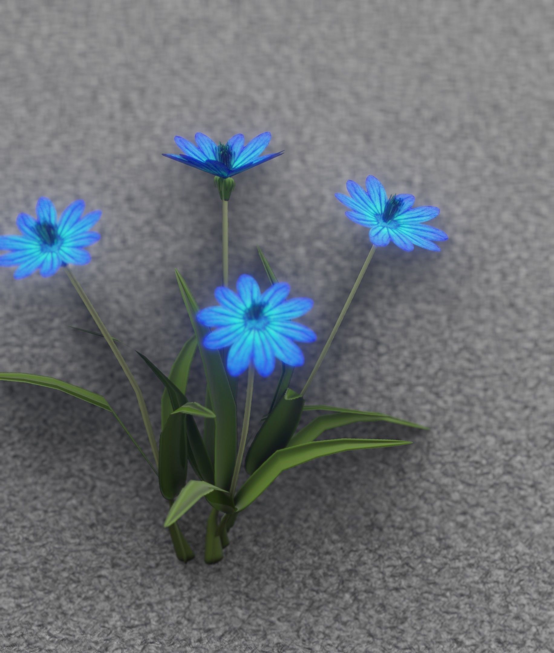 Blue Flowers - Verion 5 - Object 20 Low-poly 3D model_15