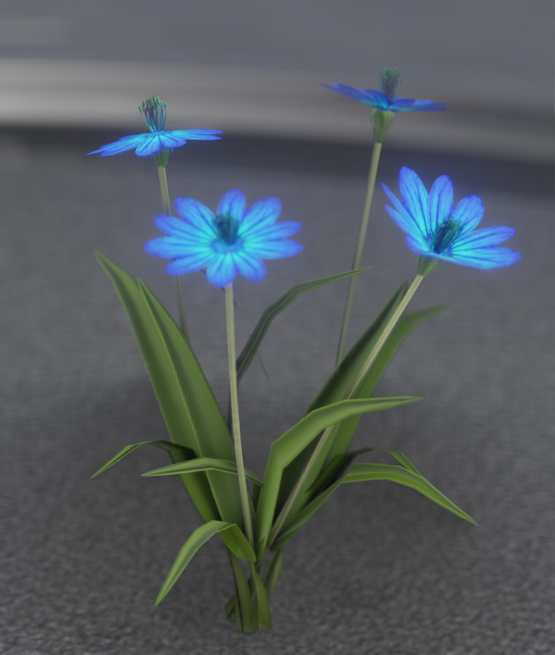 Blue Flowers - Verion 5 - Object 20 Low-poly 3D model_20