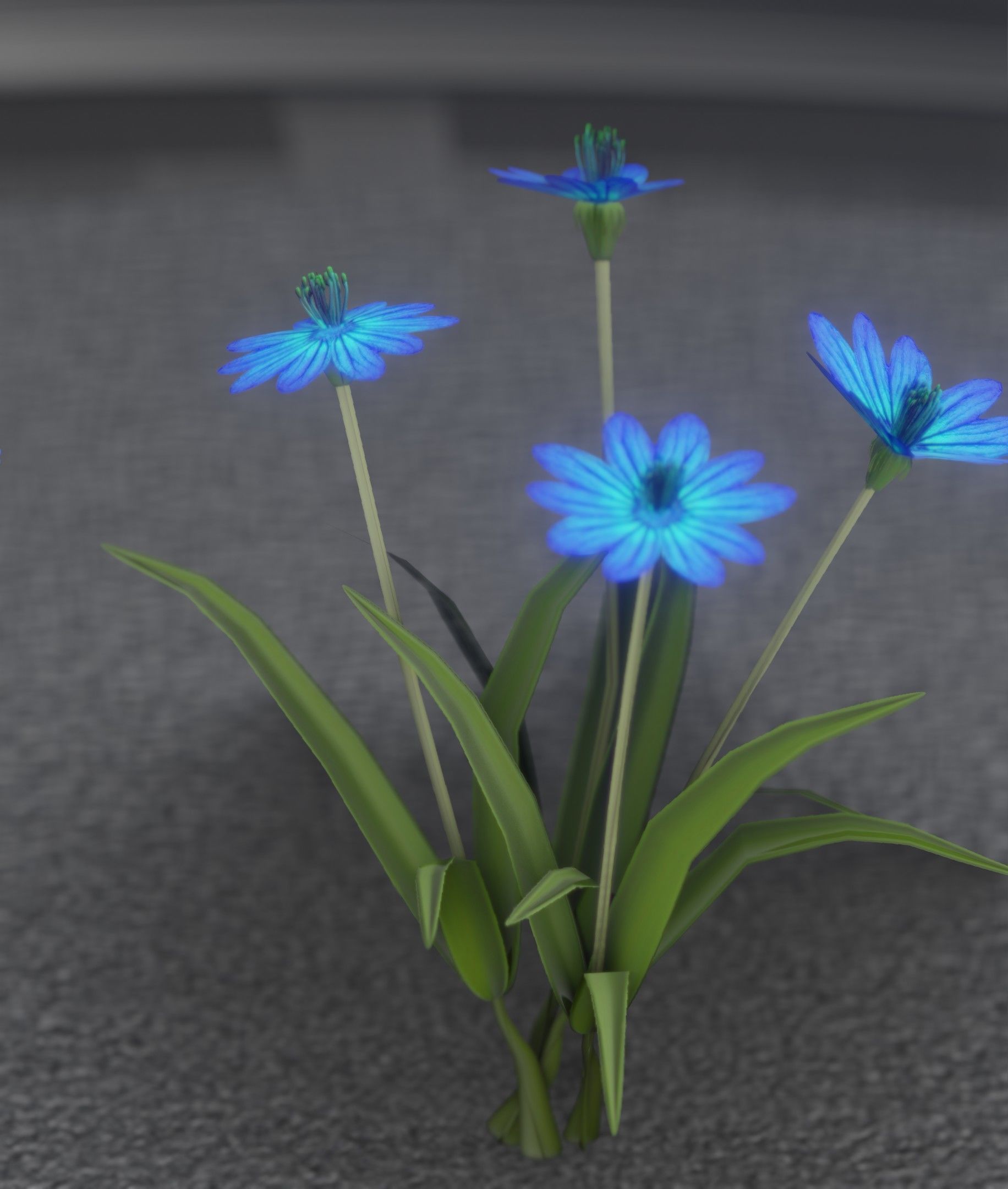 Blue Flowers - Verion 5 - Object 20 Low-poly 3D model_12