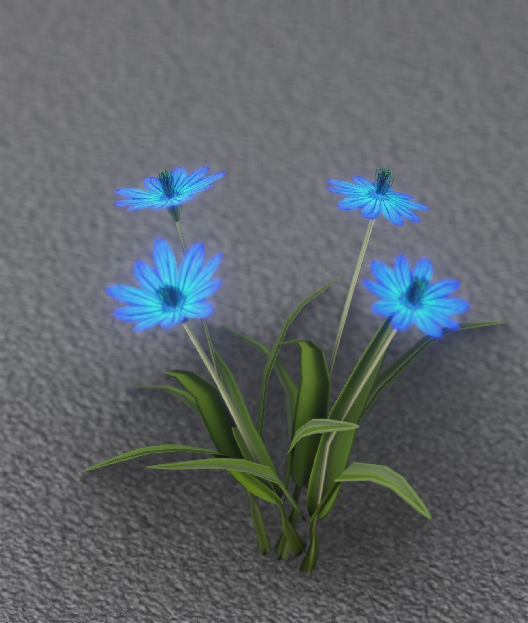 Blue Flowers - Verion 5 - Object 20 Low-poly 3D model_23