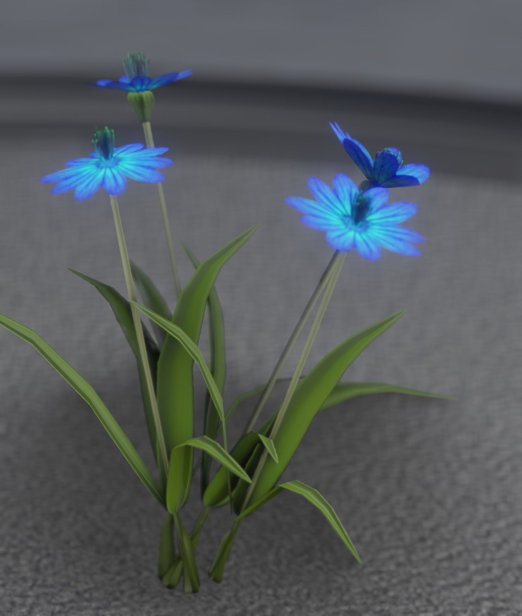 Blue Flowers - Verion 5 - Object 20 Low-poly 3D model_17
