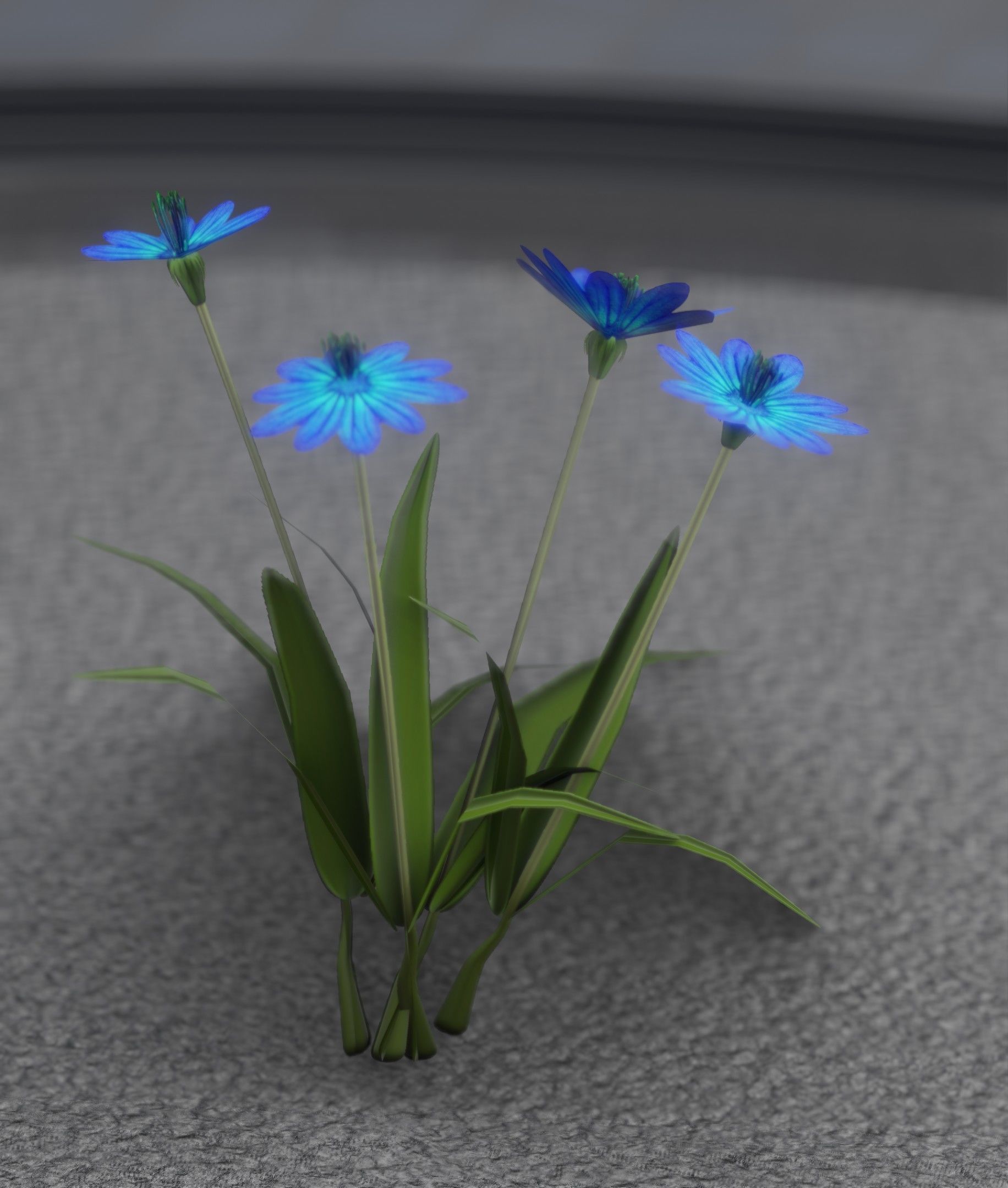 Blue Flowers - Verion 5 - Object 20 Low-poly 3D model_42