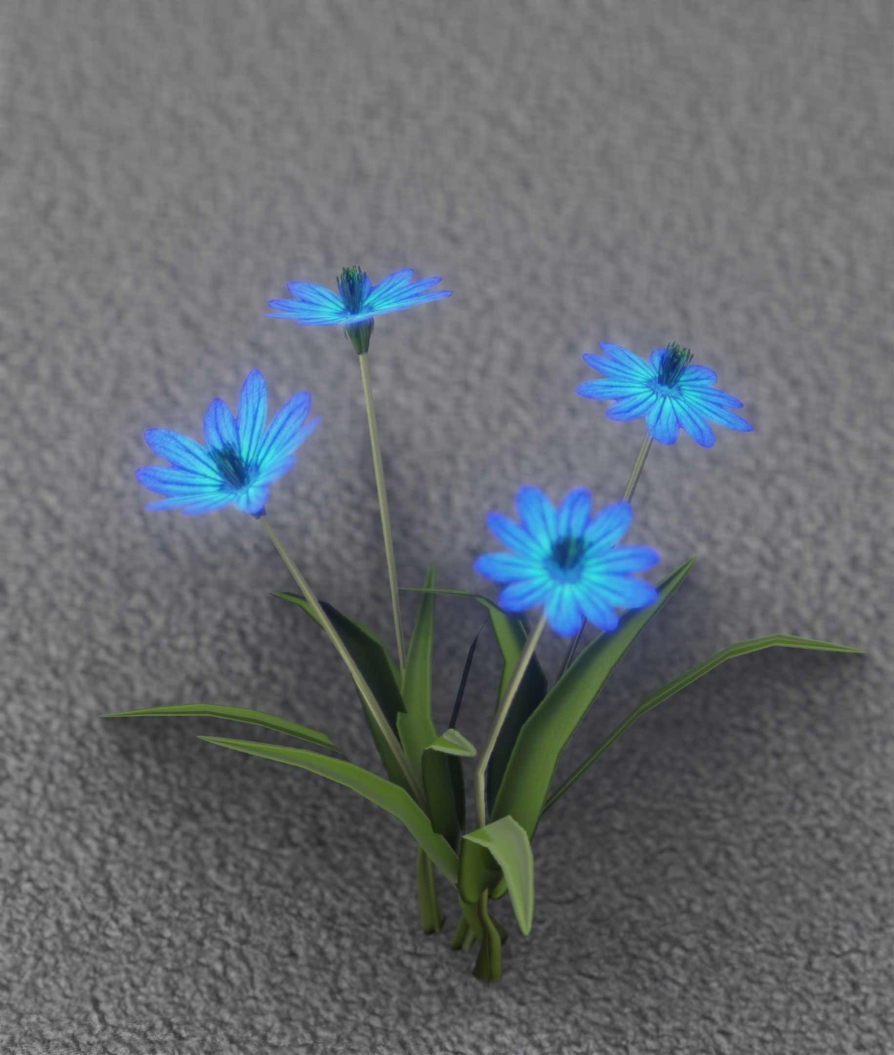 Blue Flowers - Verion 5 - Object 20 Low-poly 3D model_24