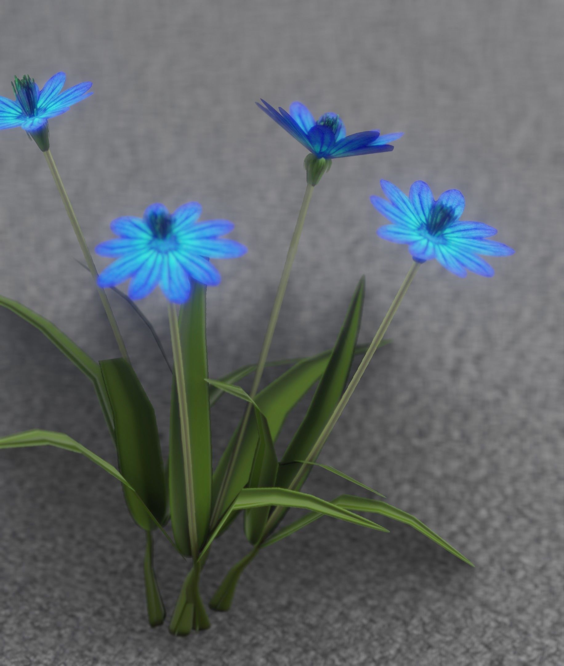 Blue Flowers - Verion 5 - Object 20 Low-poly 3D model_16
