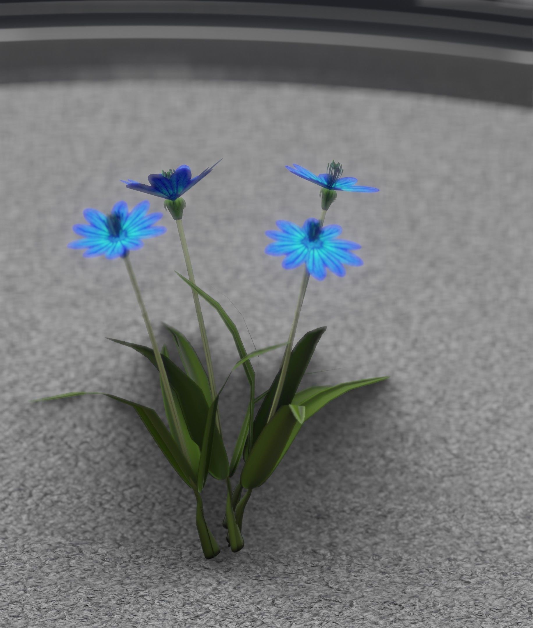 Blue Flowers - Verion 5 - Object 20 Low-poly 3D model_39